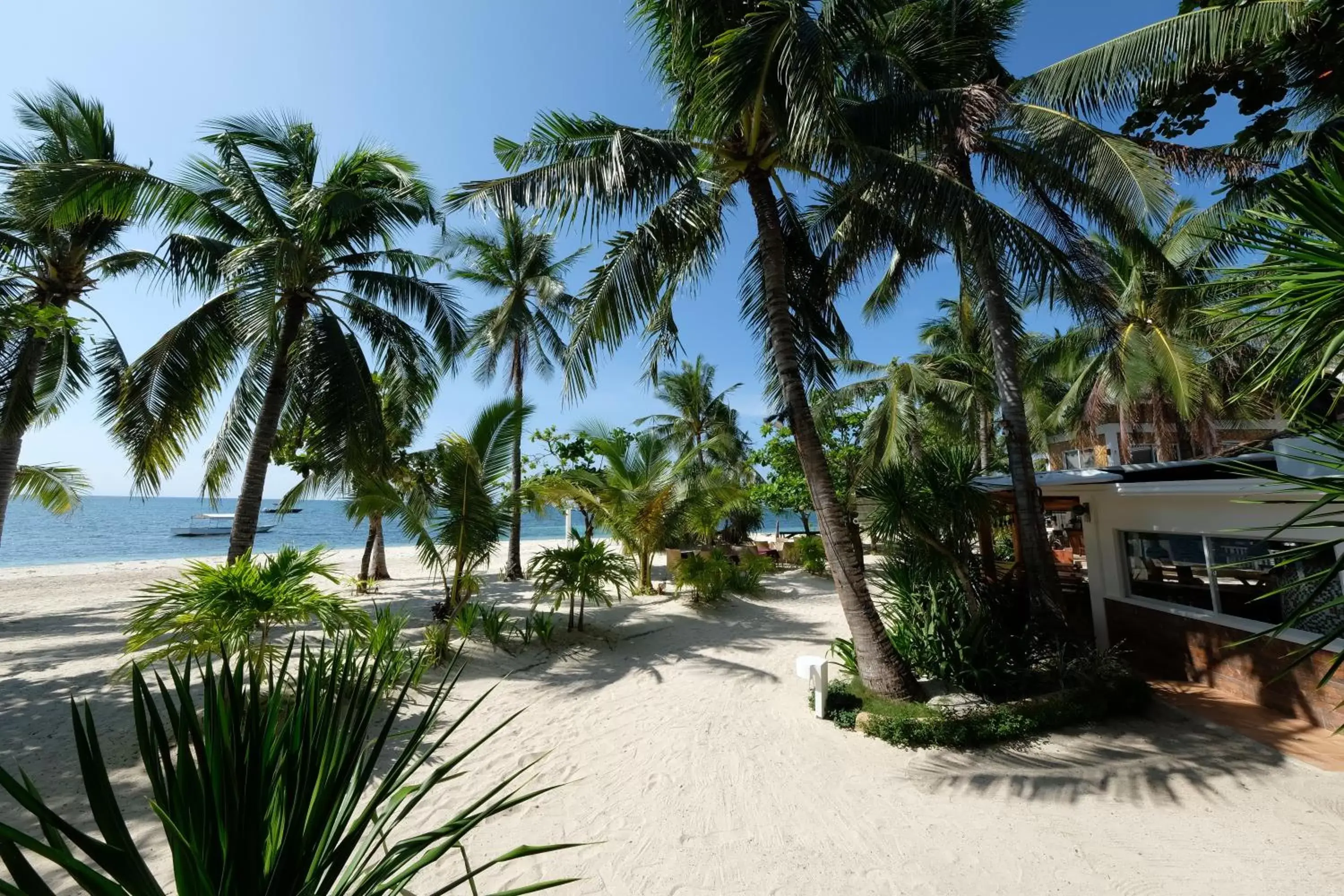 Facade/entrance, Beach in Malapascua Exotic Island Dive Resort