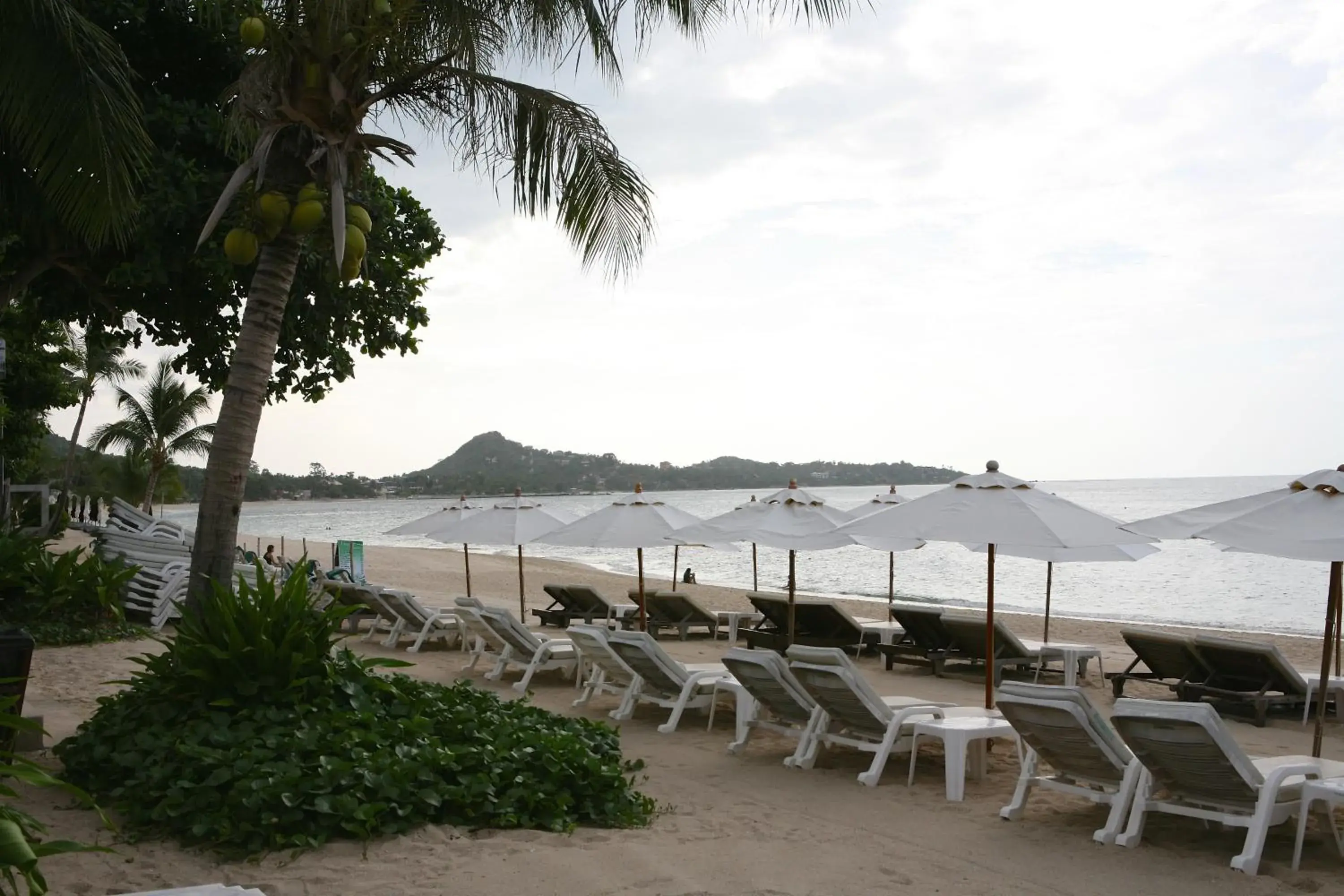 Beach in Samui Jasmine Resort - SHA Plus