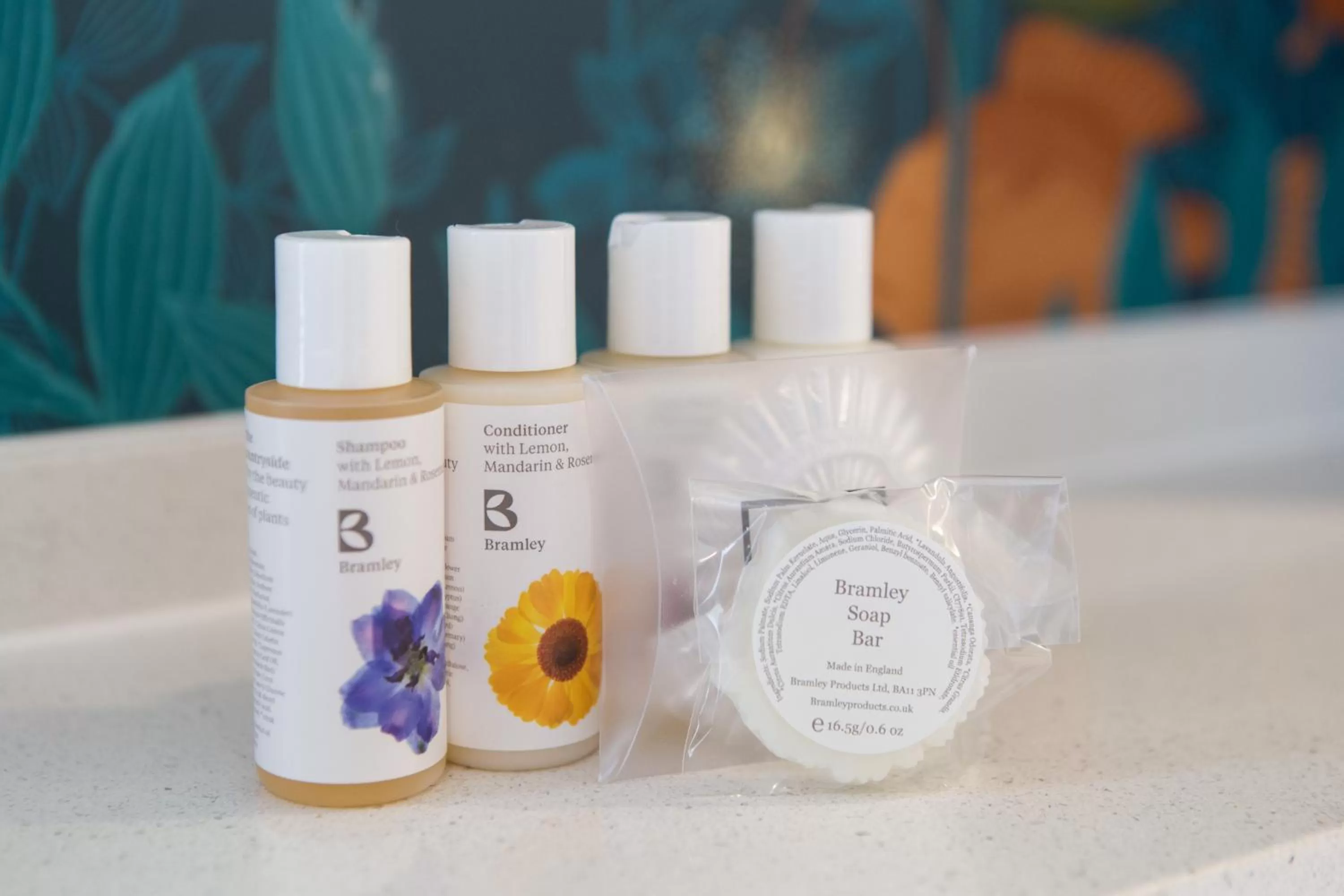 Bathroom in Mount Edgcumbe