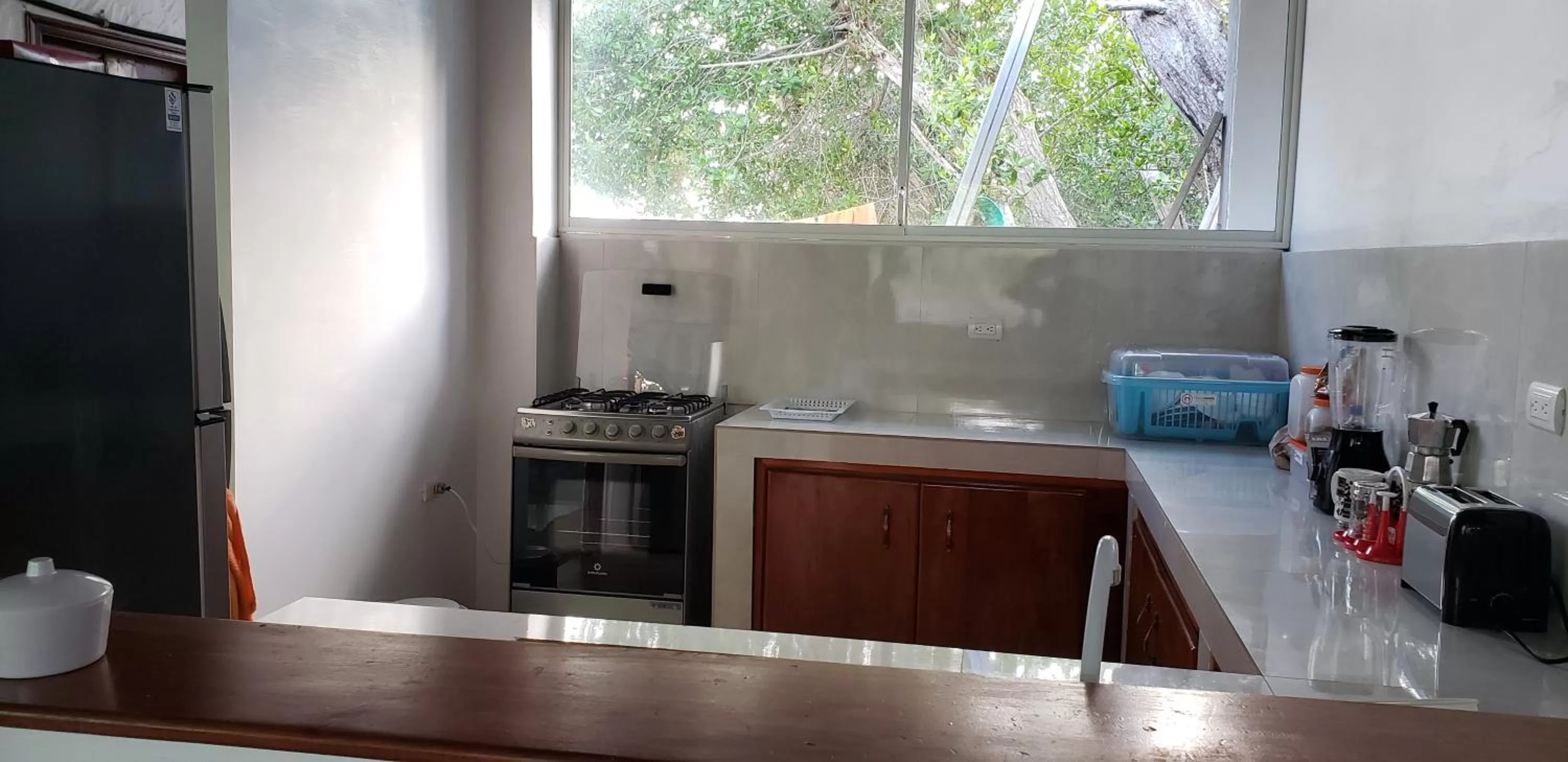 Kitchen or kitchenette in Hotel La Jungla