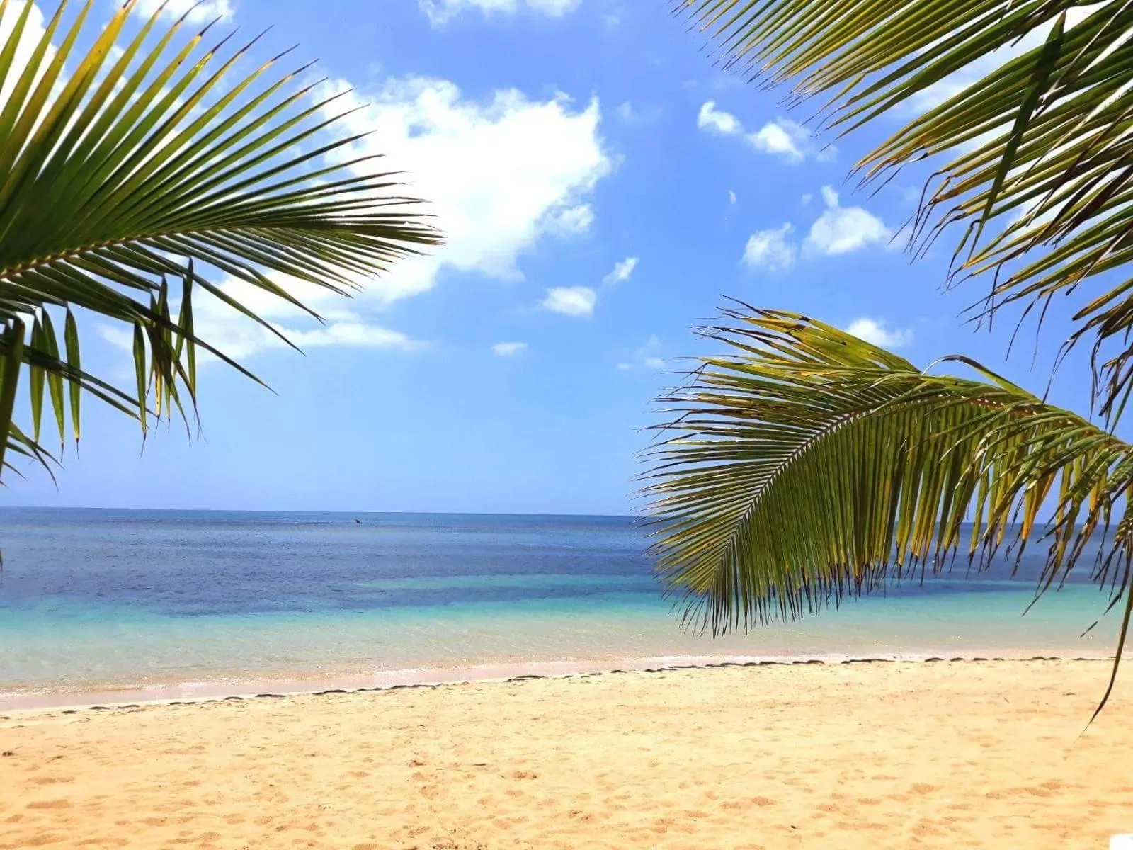 Beach in Louisa Aparthotel