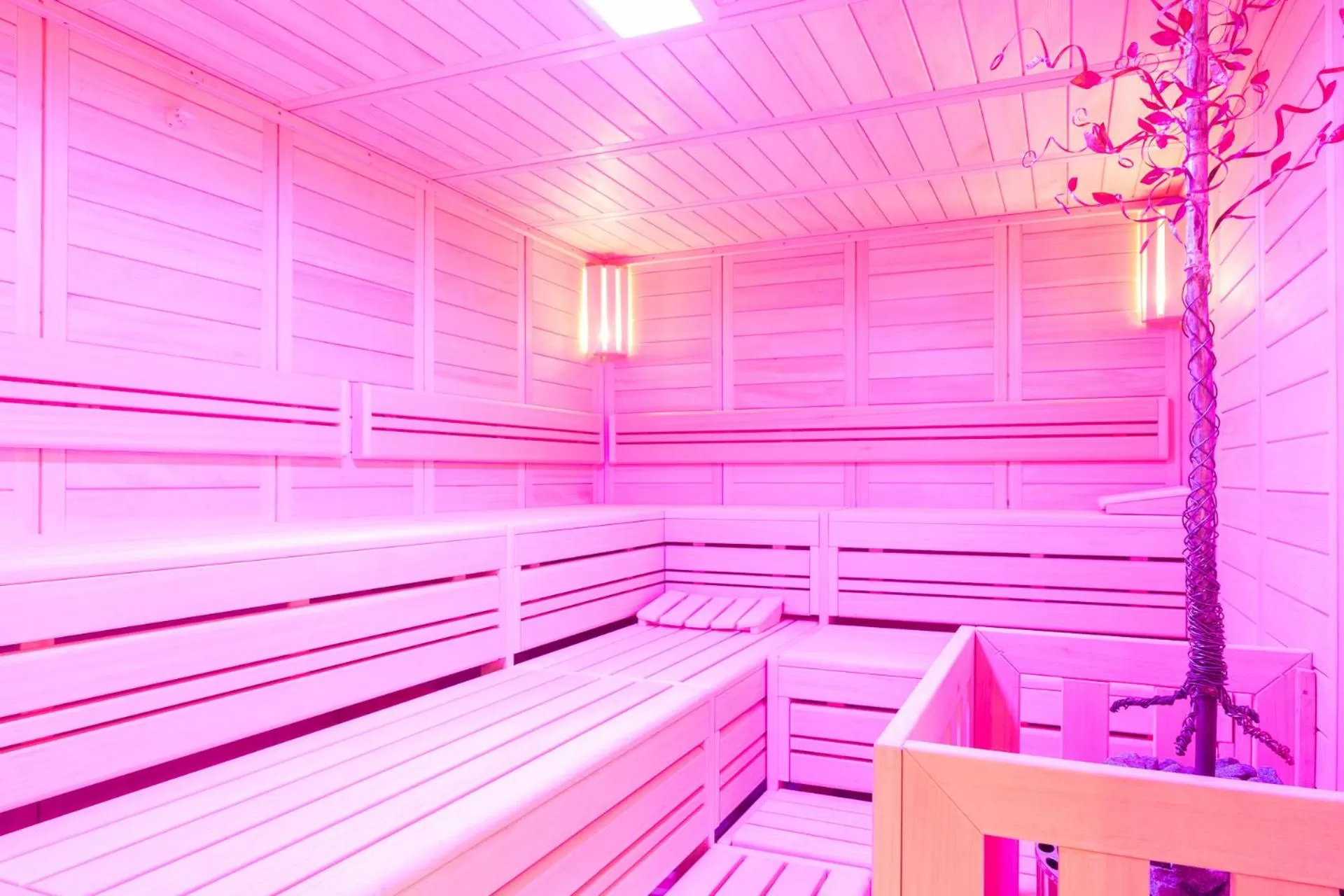 Sauna in Aribo Hotel