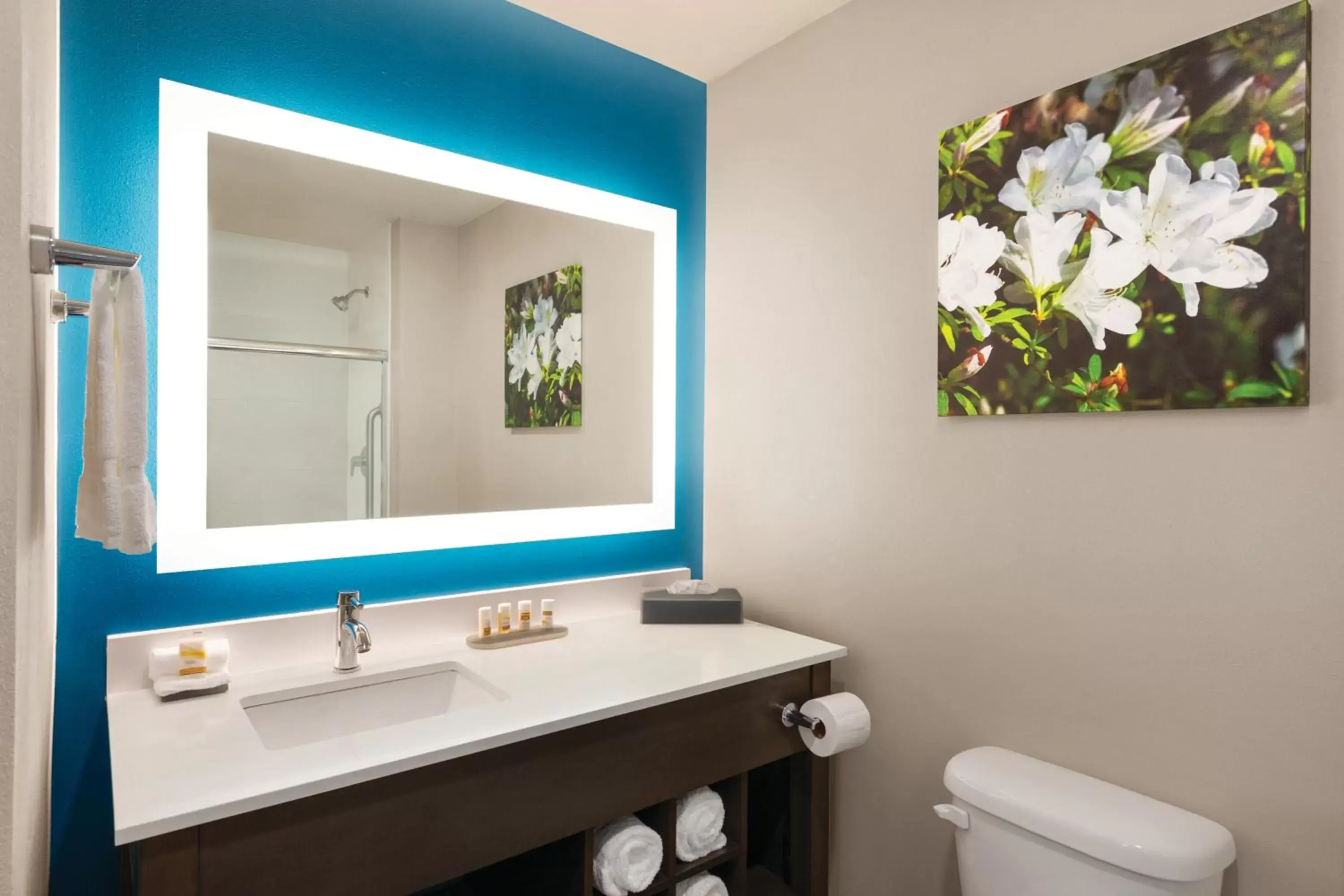 Bathroom in La Quinta by Wyndham Gainesville