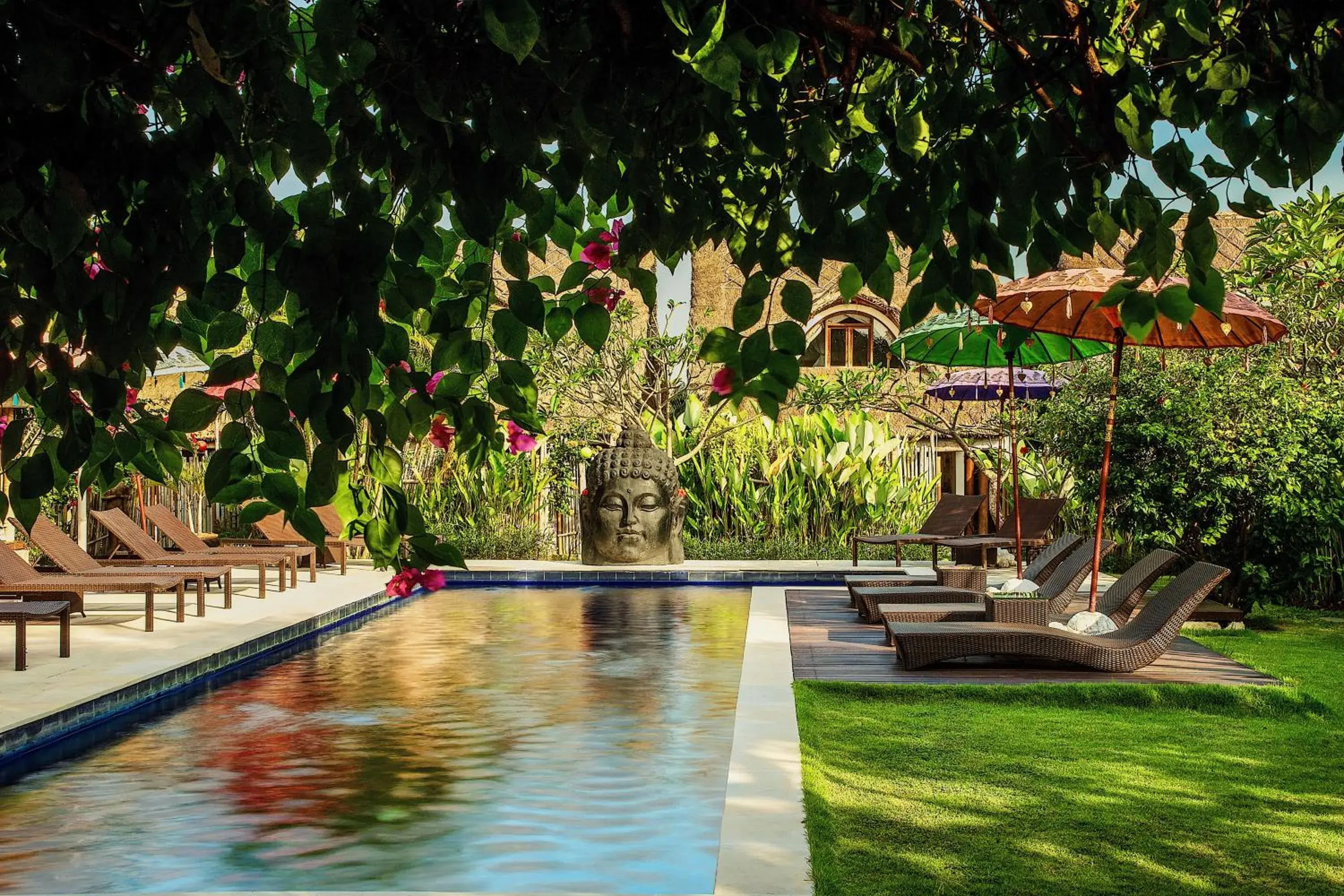 Natural landscape, Swimming Pool in United Colors of Bali