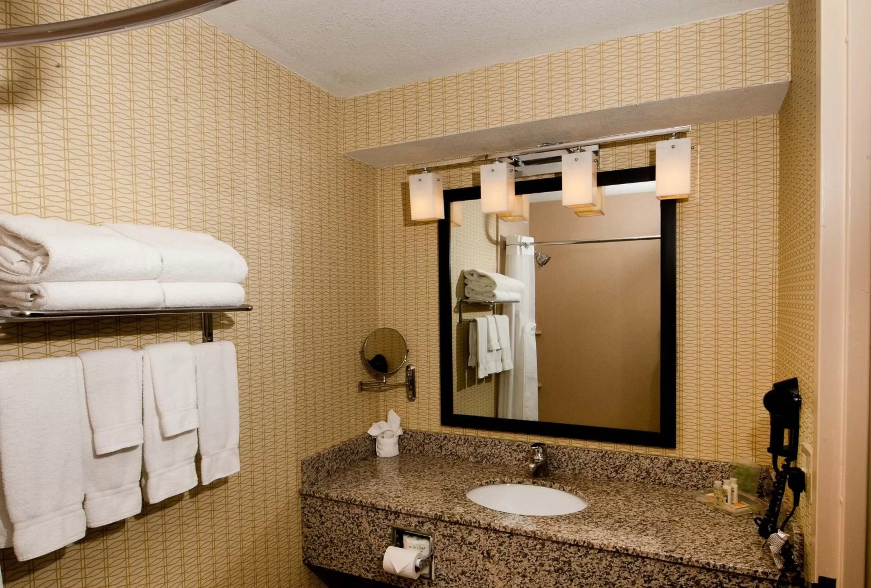 Photo of the whole room, Bathroom in Holiday Inn St. Louis Airport West Earth City, an IHG Hotel