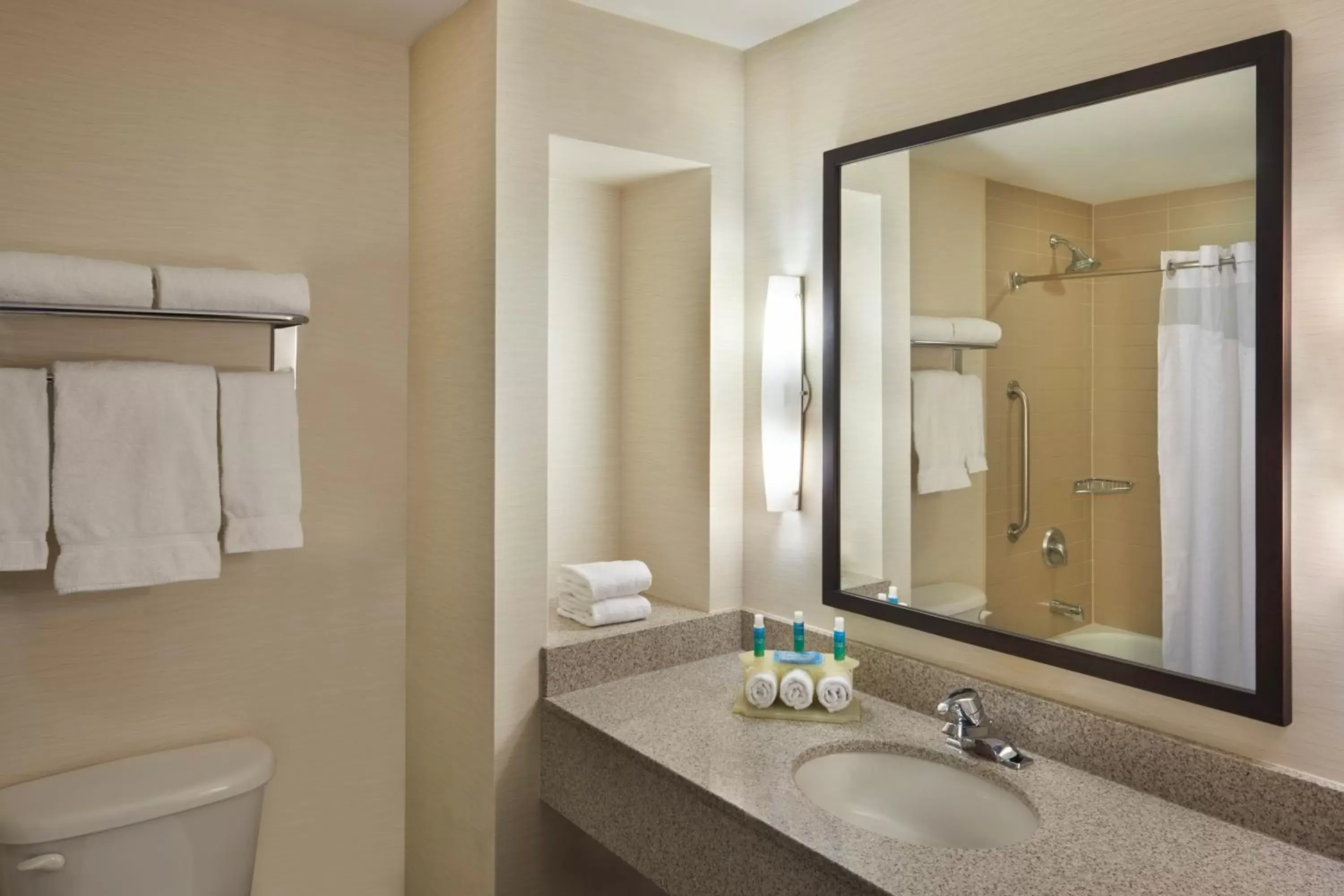 Bathroom in Holiday Inn Express & Suites Vaughan-Southwest, an IHG Hotel