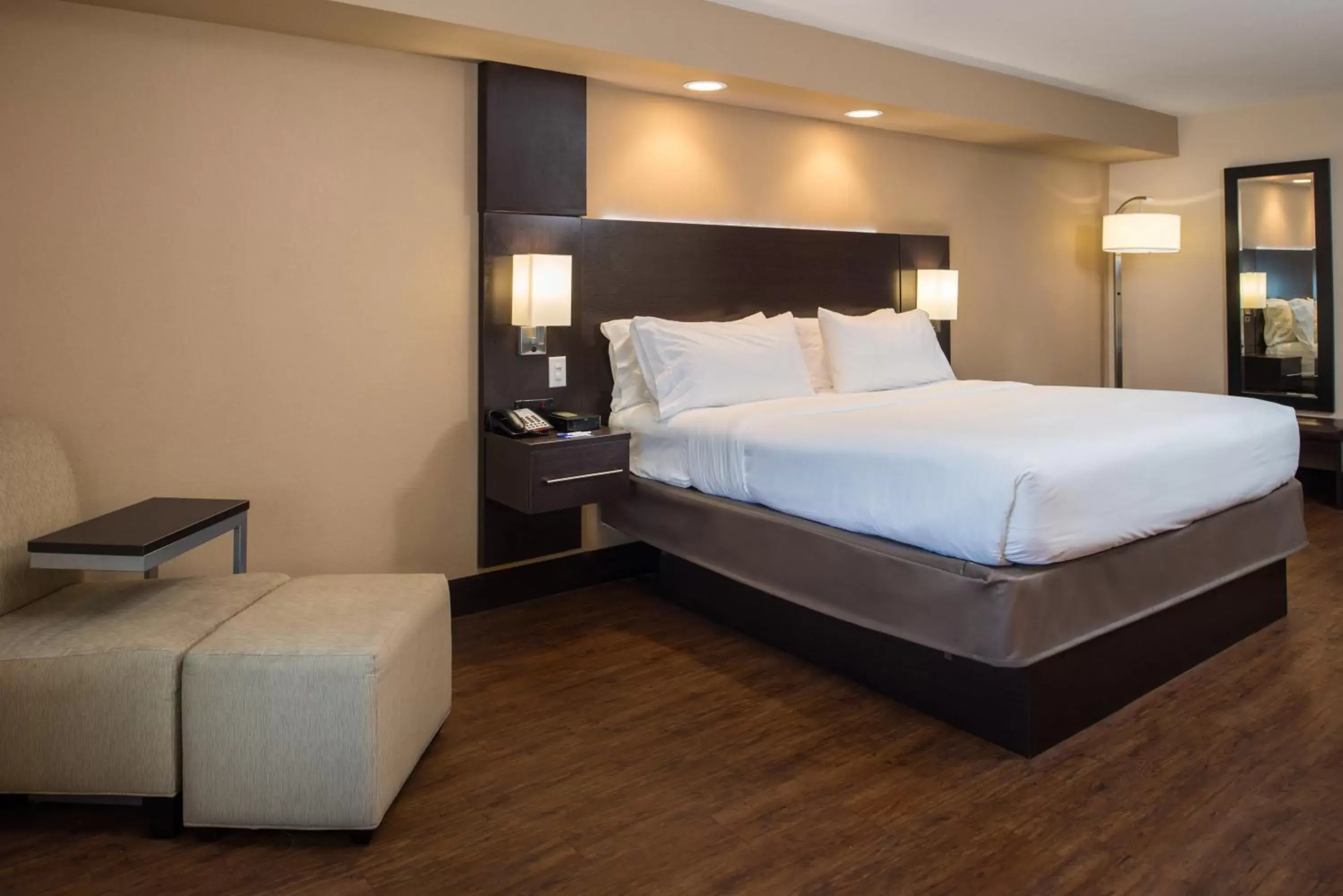 Photo of the whole room, Bed in Holiday Inn Express & Suites San Antonio Medical Center North, an IHG Hotel