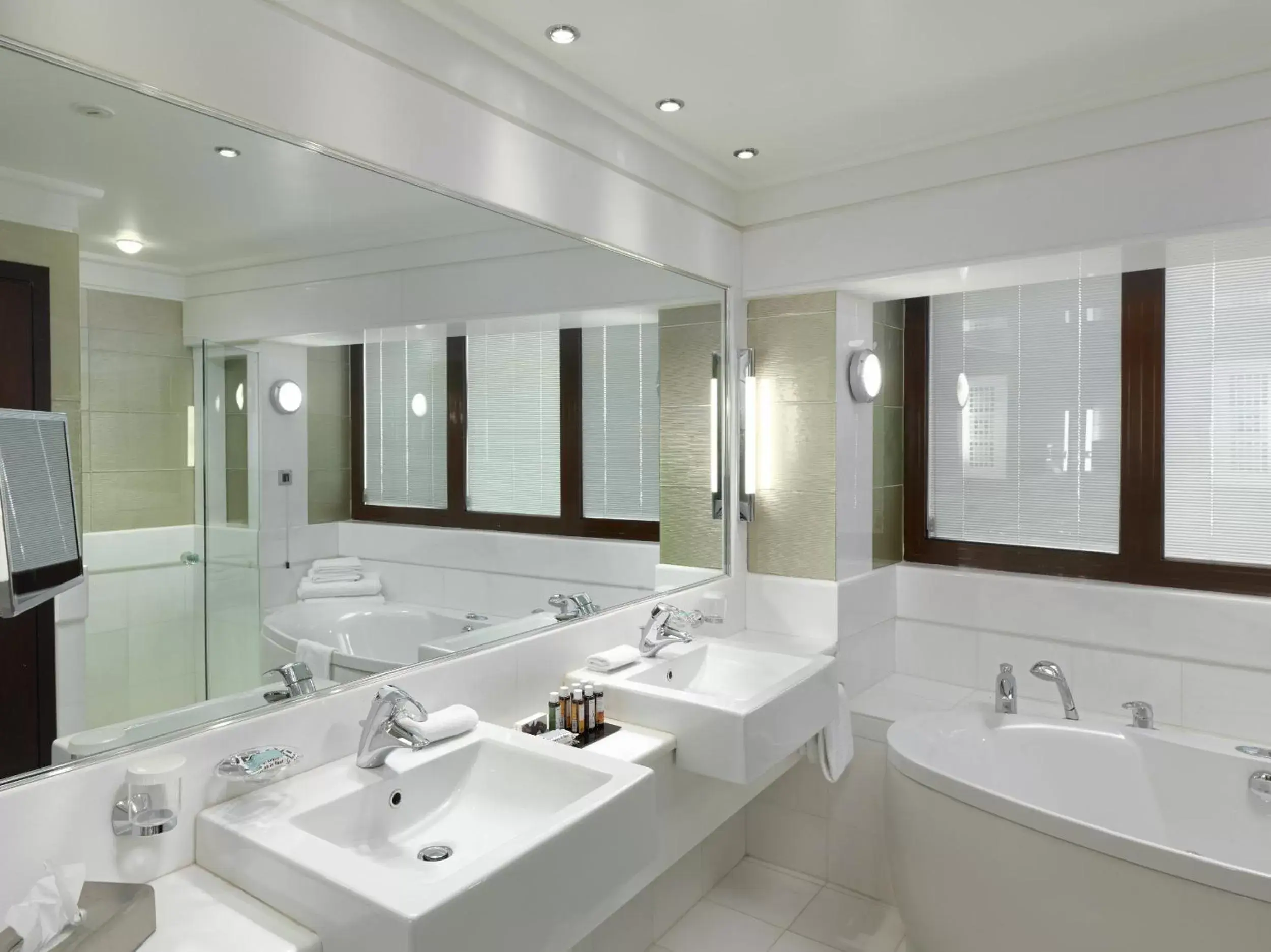 Photo of the whole room, Bathroom in Crowne Plaza Athens City Centre, an IHG Hotel