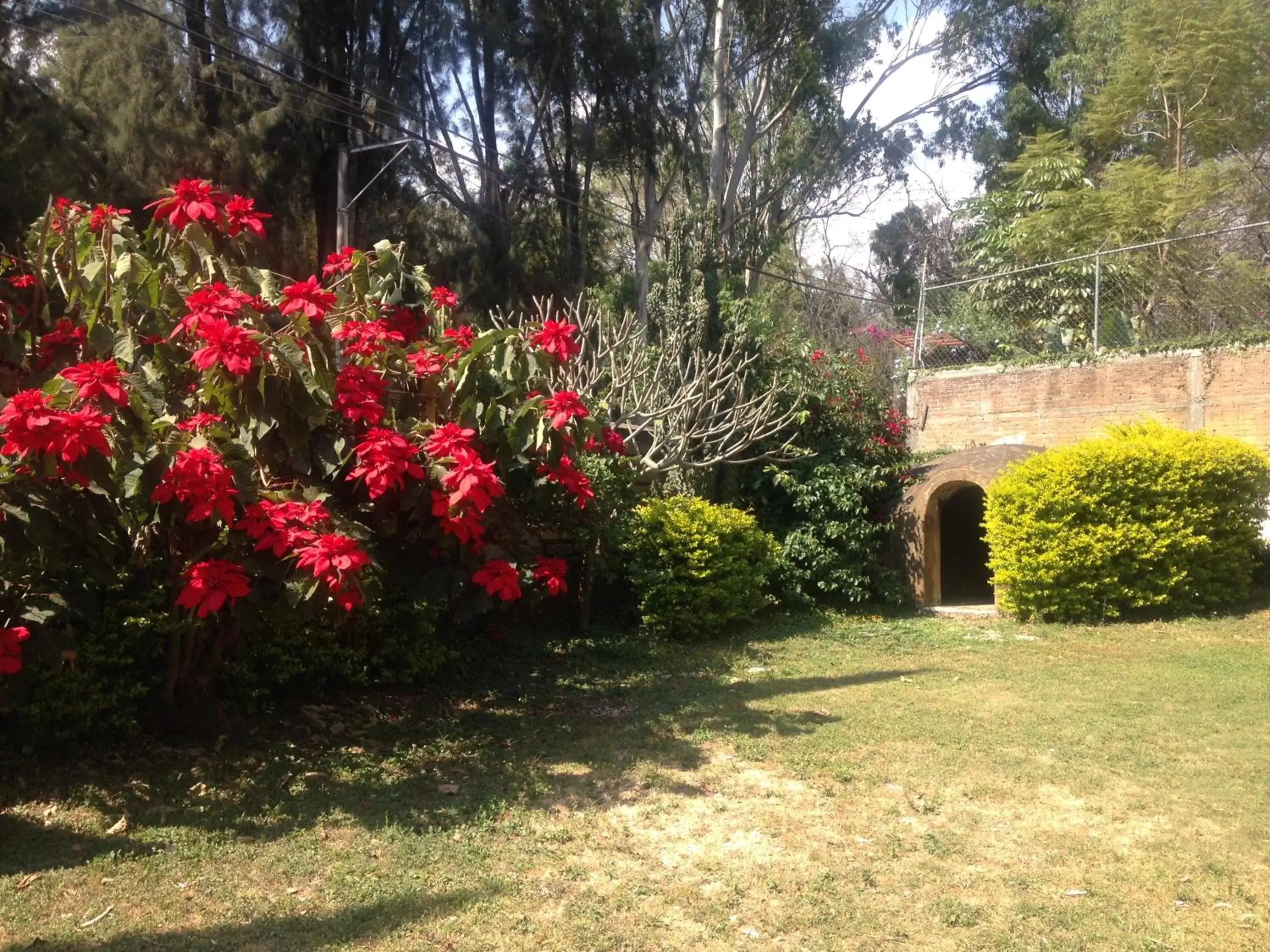 Garden in Hospedaje Ornelas