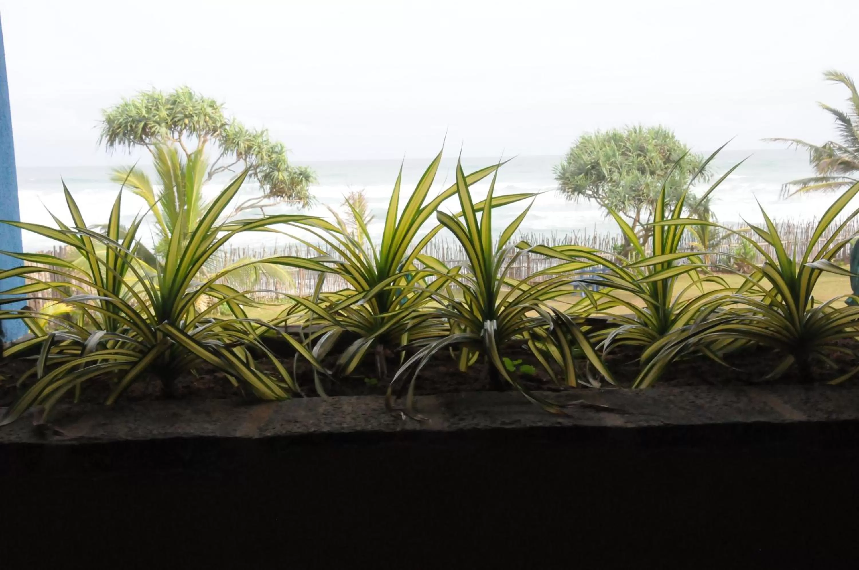 Other in Villa Atulya at Ocean's edge