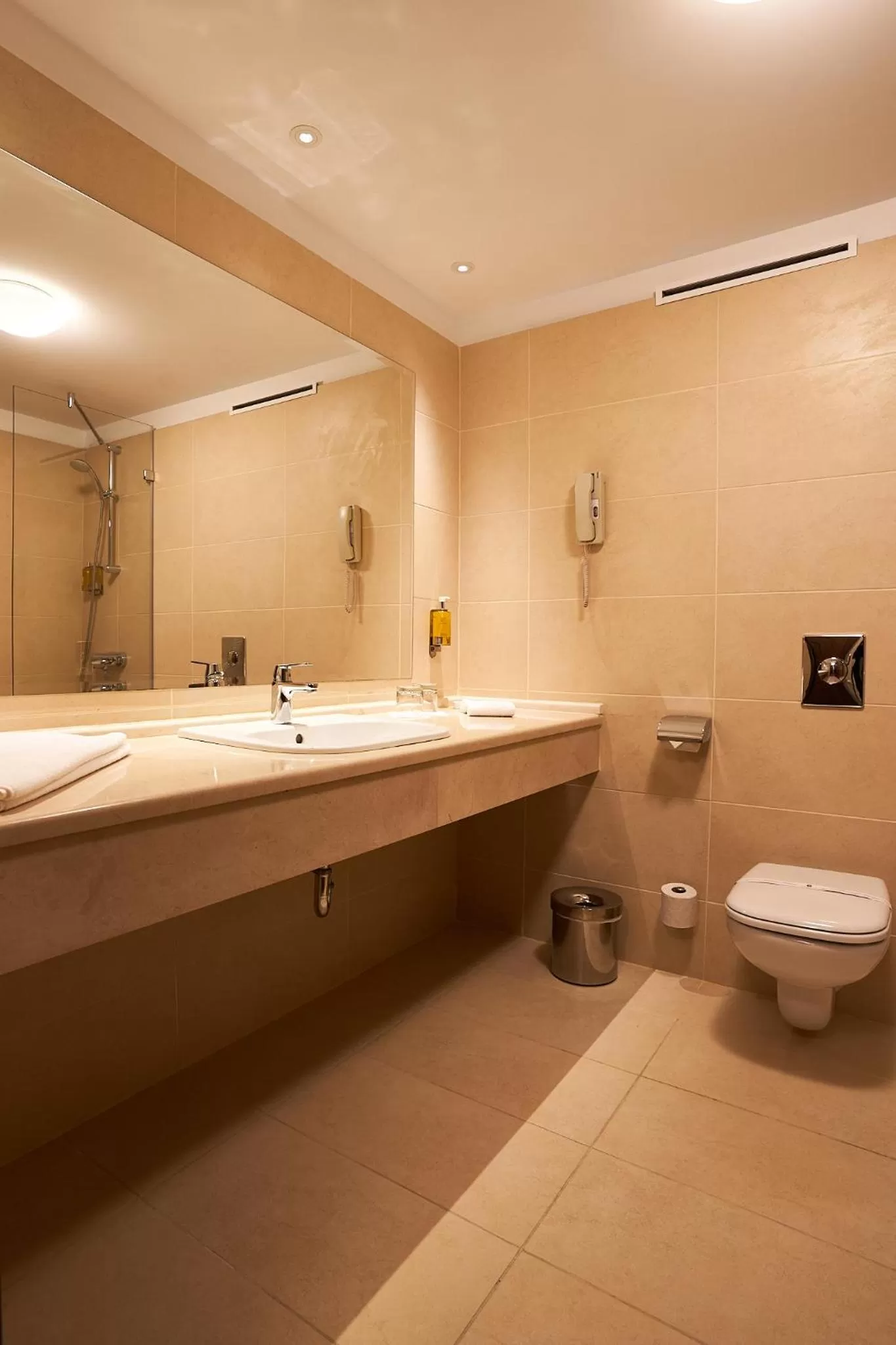 Bathroom in Petrodava ONE