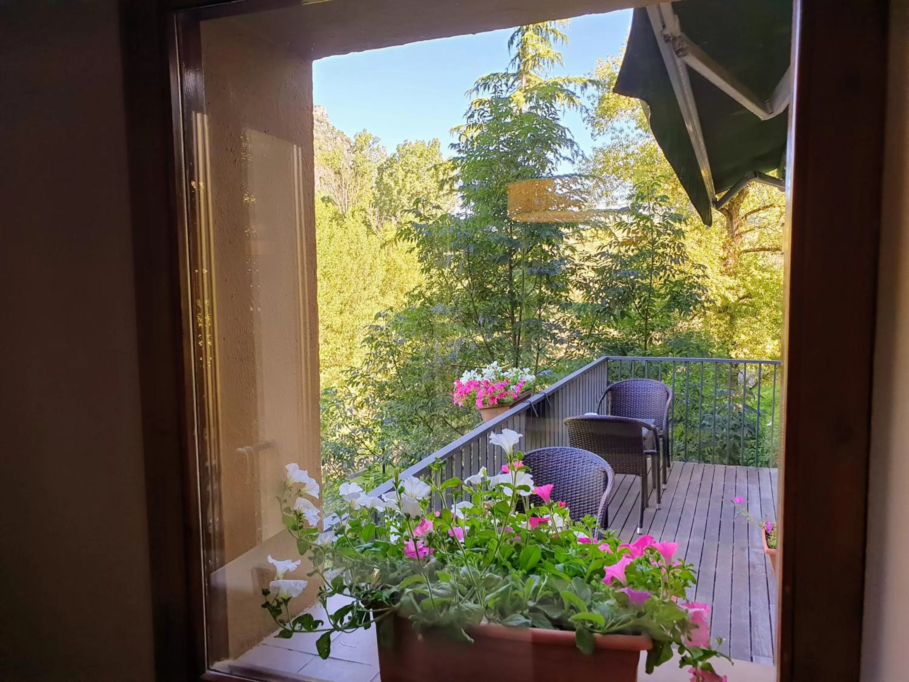 Dining area in Hotel Cotori