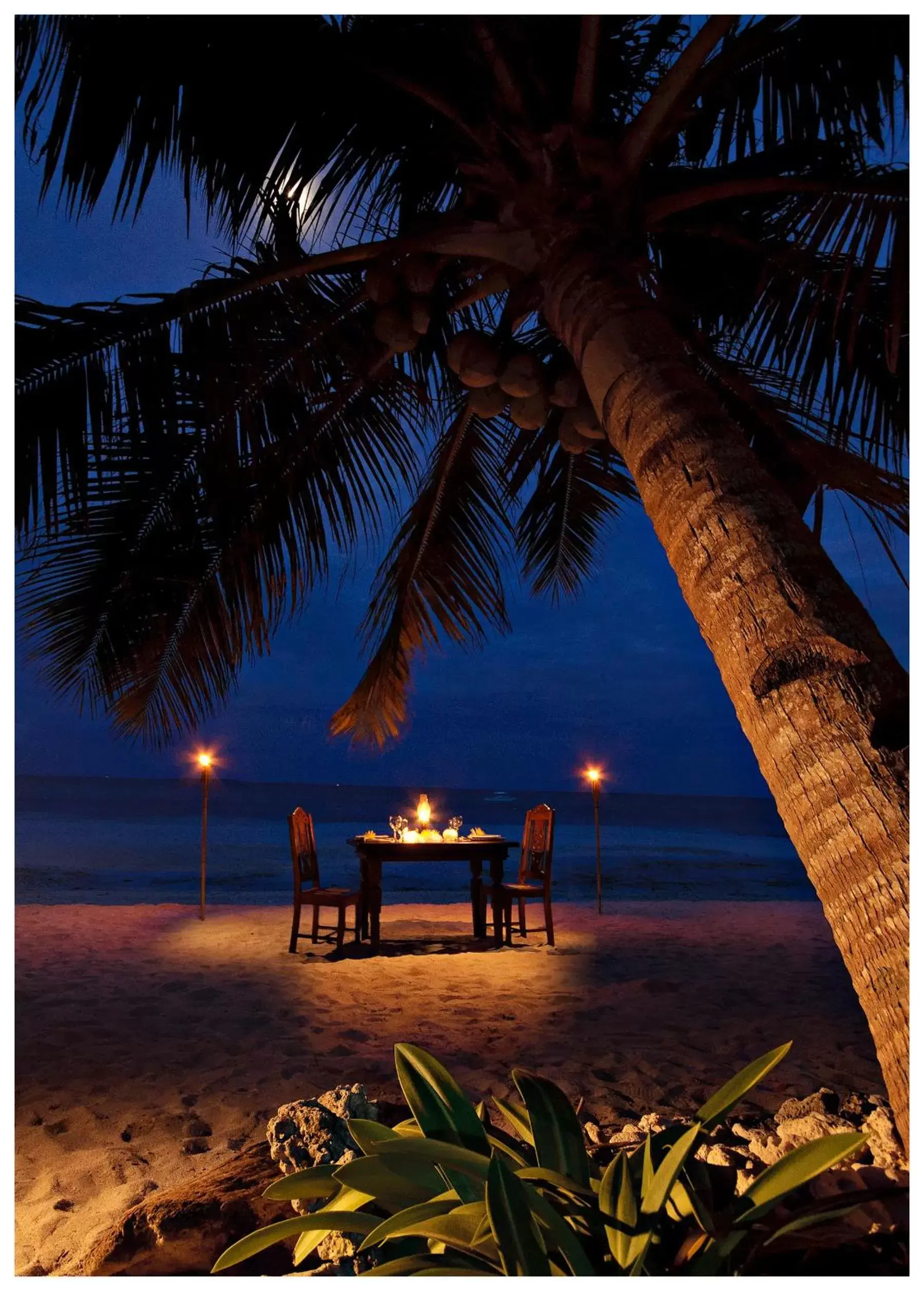 Restaurant/places to eat, Beach in Amarela Resort