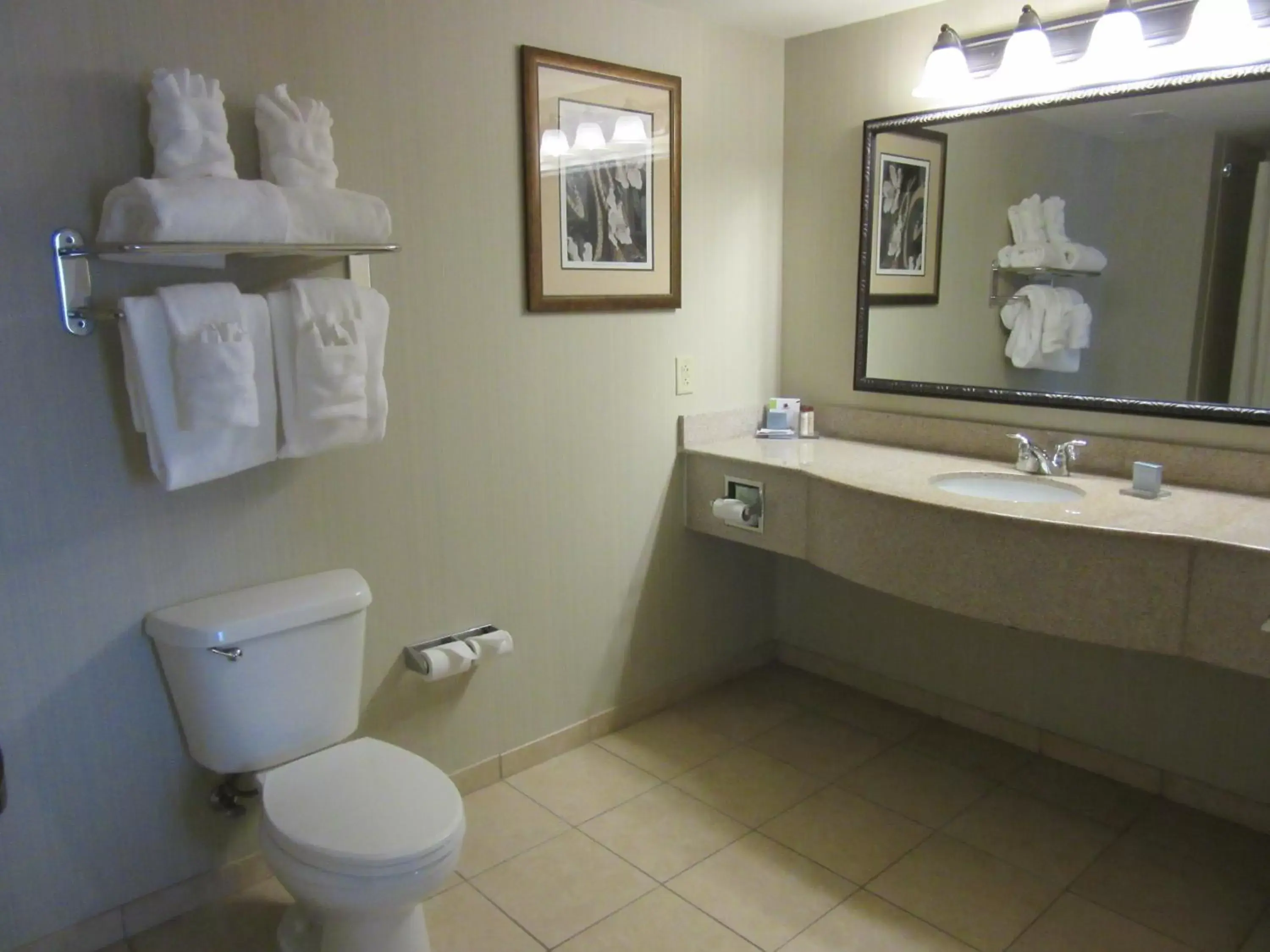 Bathroom in Wingate by Wyndham Charleston Southern University