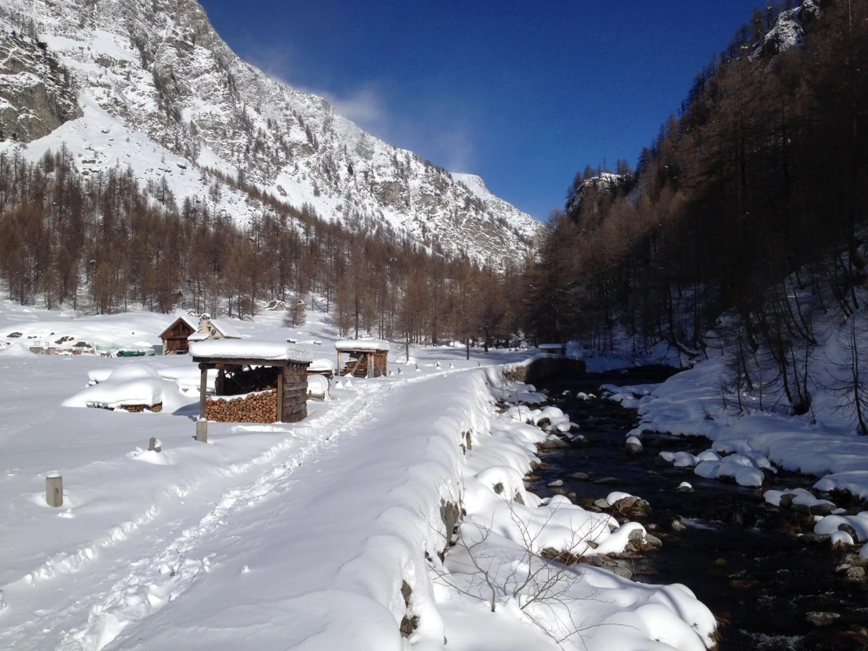 Natural landscape in Hotel Domodossola