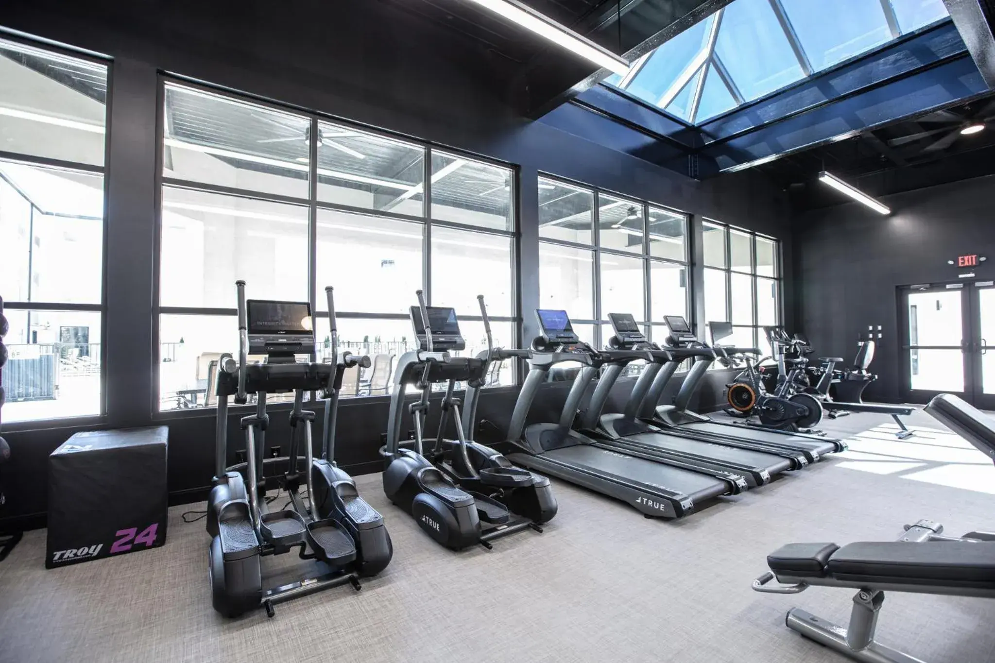Spa and wellness centre/facilities, Fitness Center/Facilities in Holiday Inn St Louis Sw - Route 66