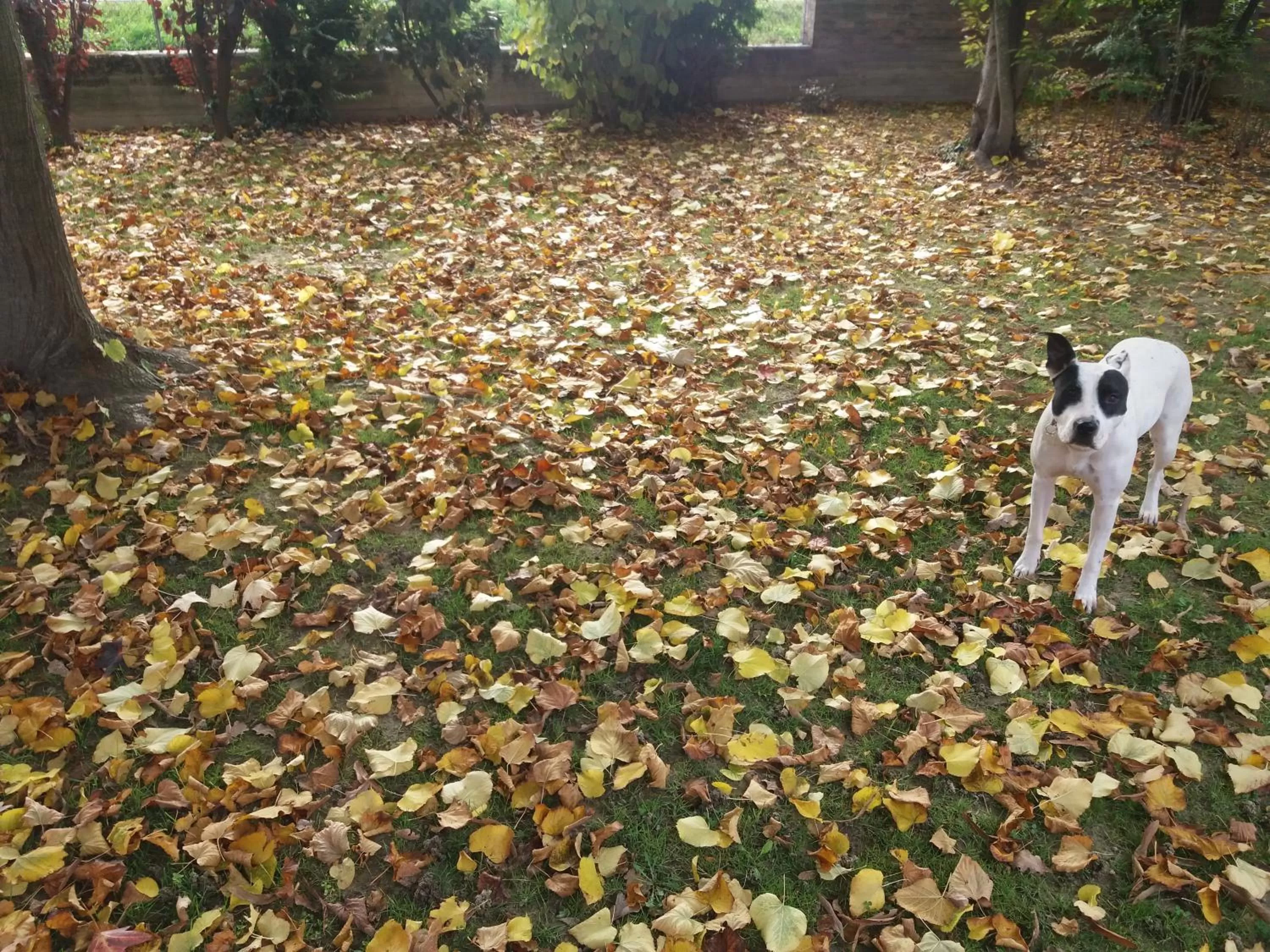 Garden in R&B un mondo a colori