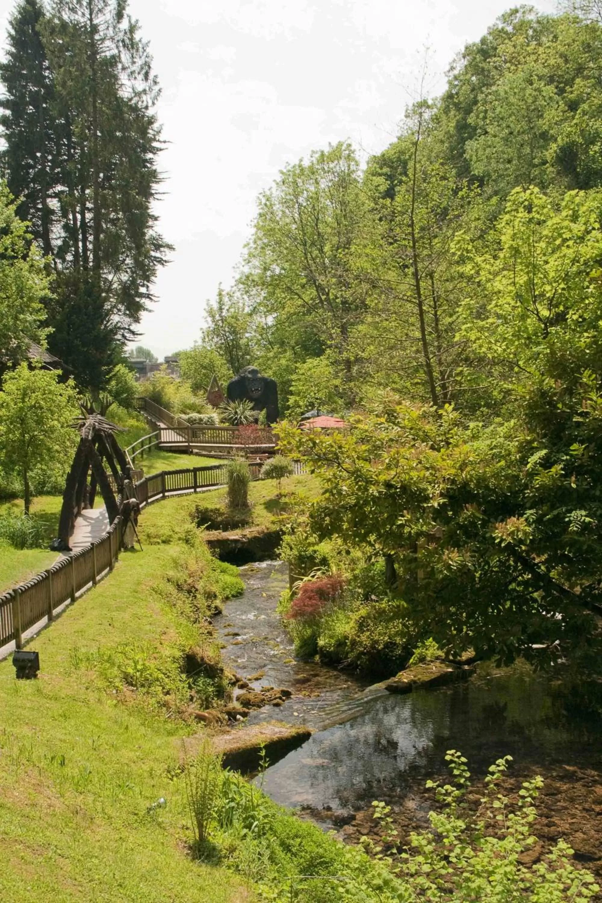 Garden in Wookey Hole Hotel