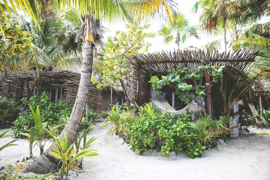 Spa and wellness centre/facilities in Nomade Tulum