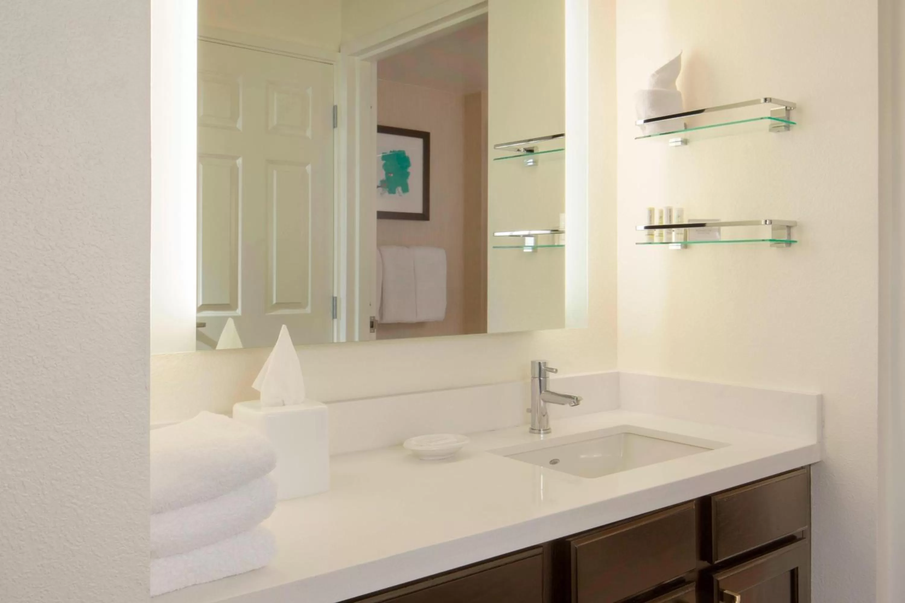 Bathroom in Residence Inn Tampa Downtown