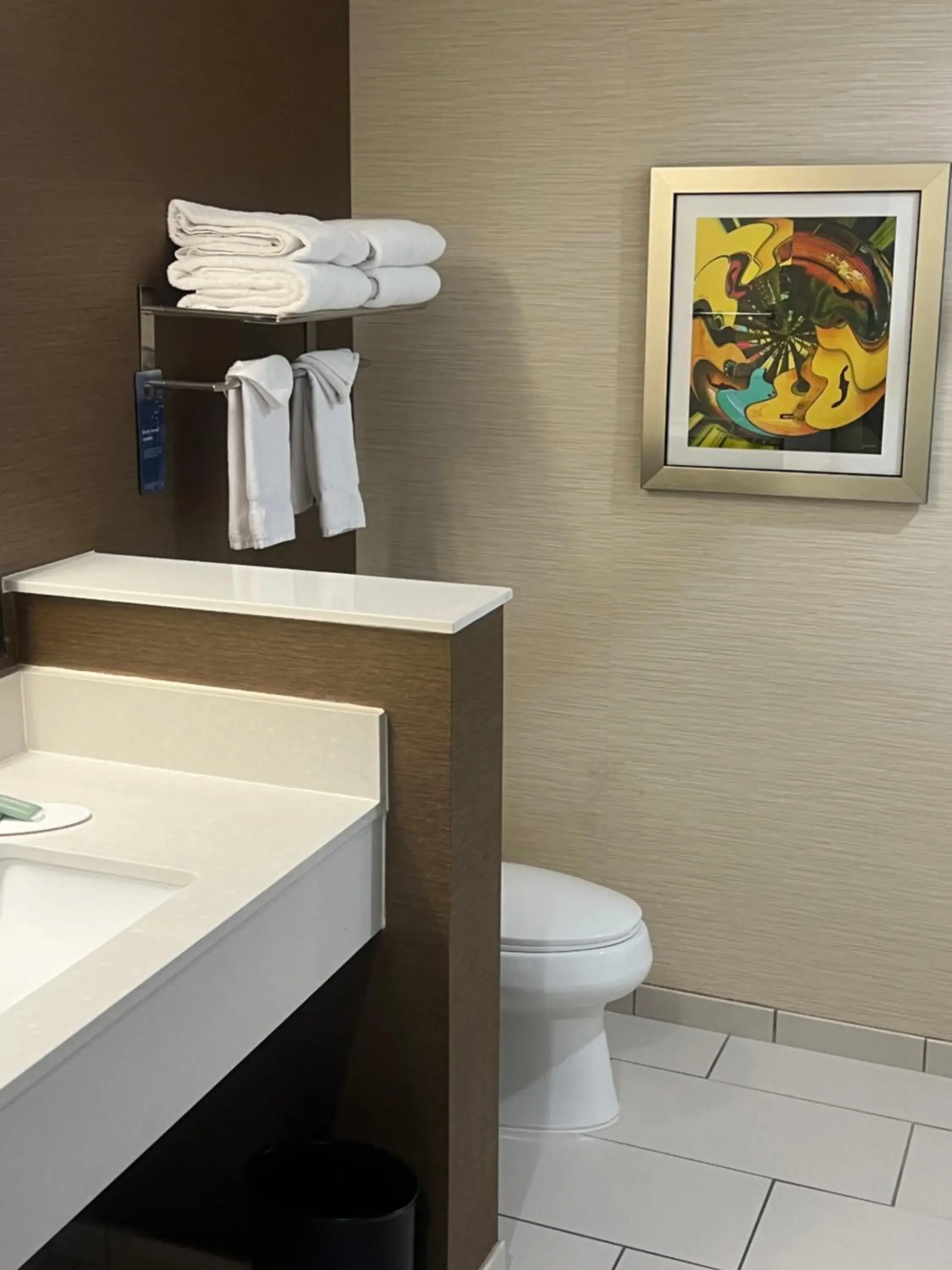 Bathroom in Fairfield Inn & Suites by Marriott Austin Buda