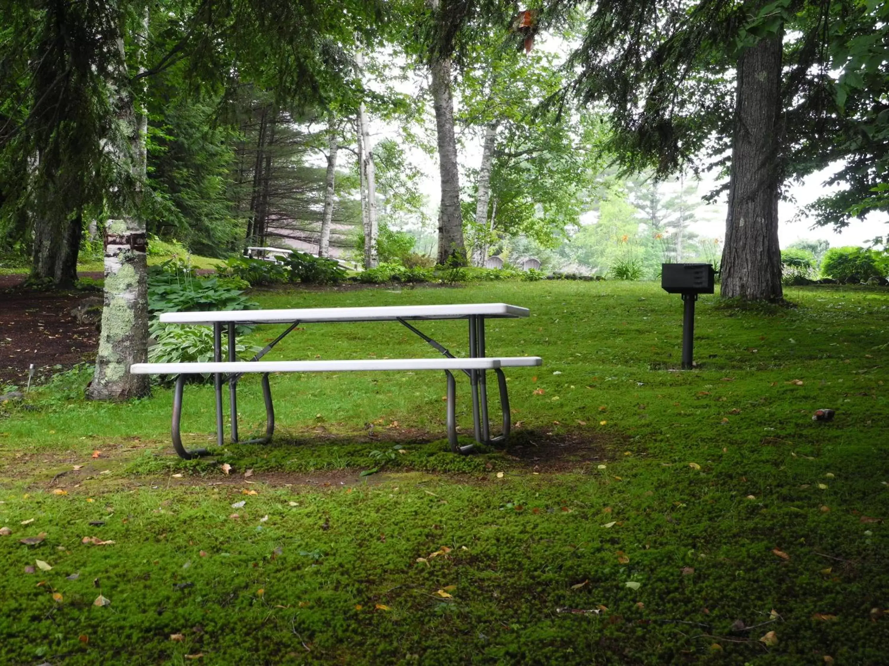 Patio, Garden in Wilson Lake Inn