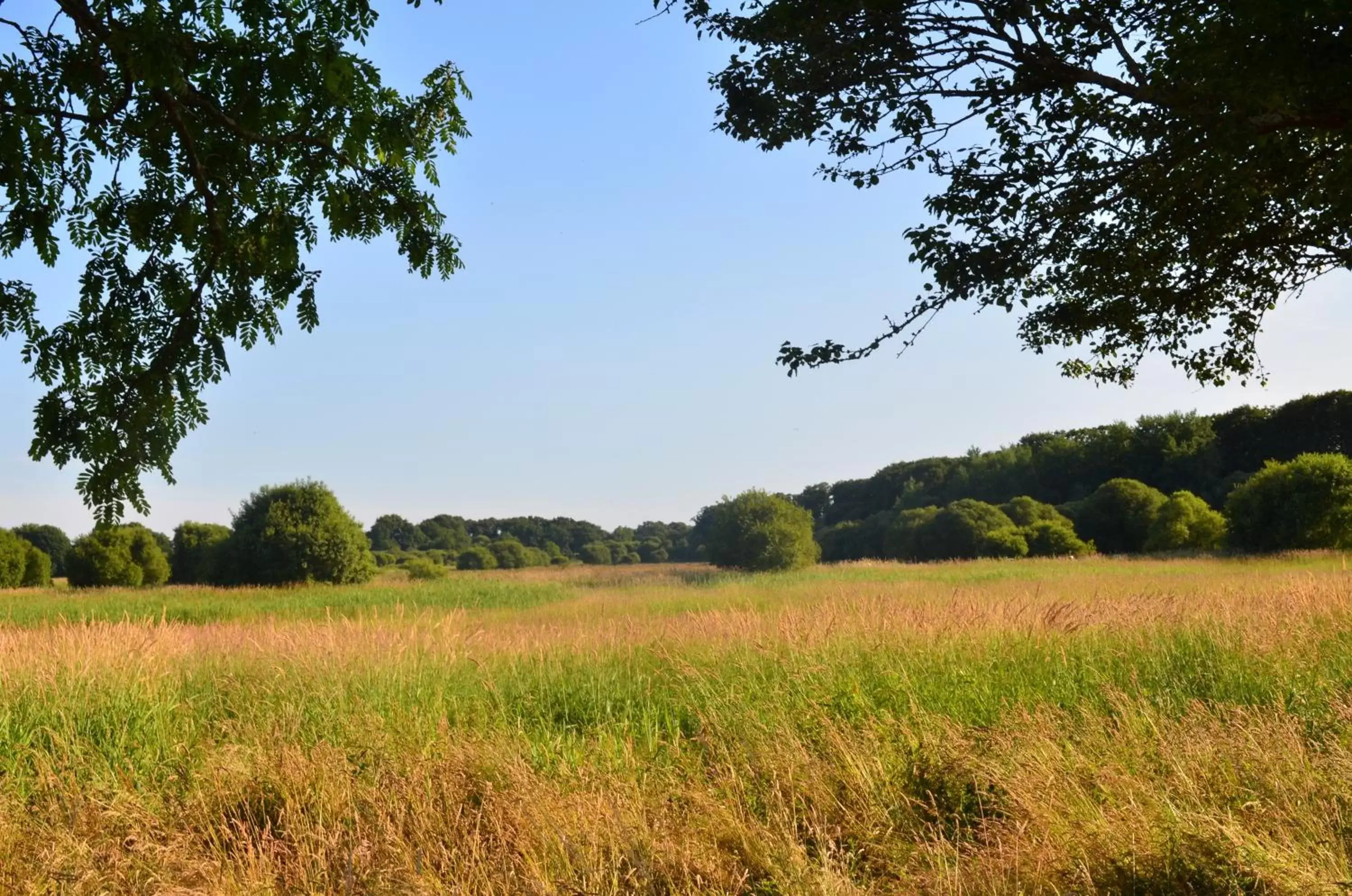 Natural Landscape in La Ferme Du Blanchot