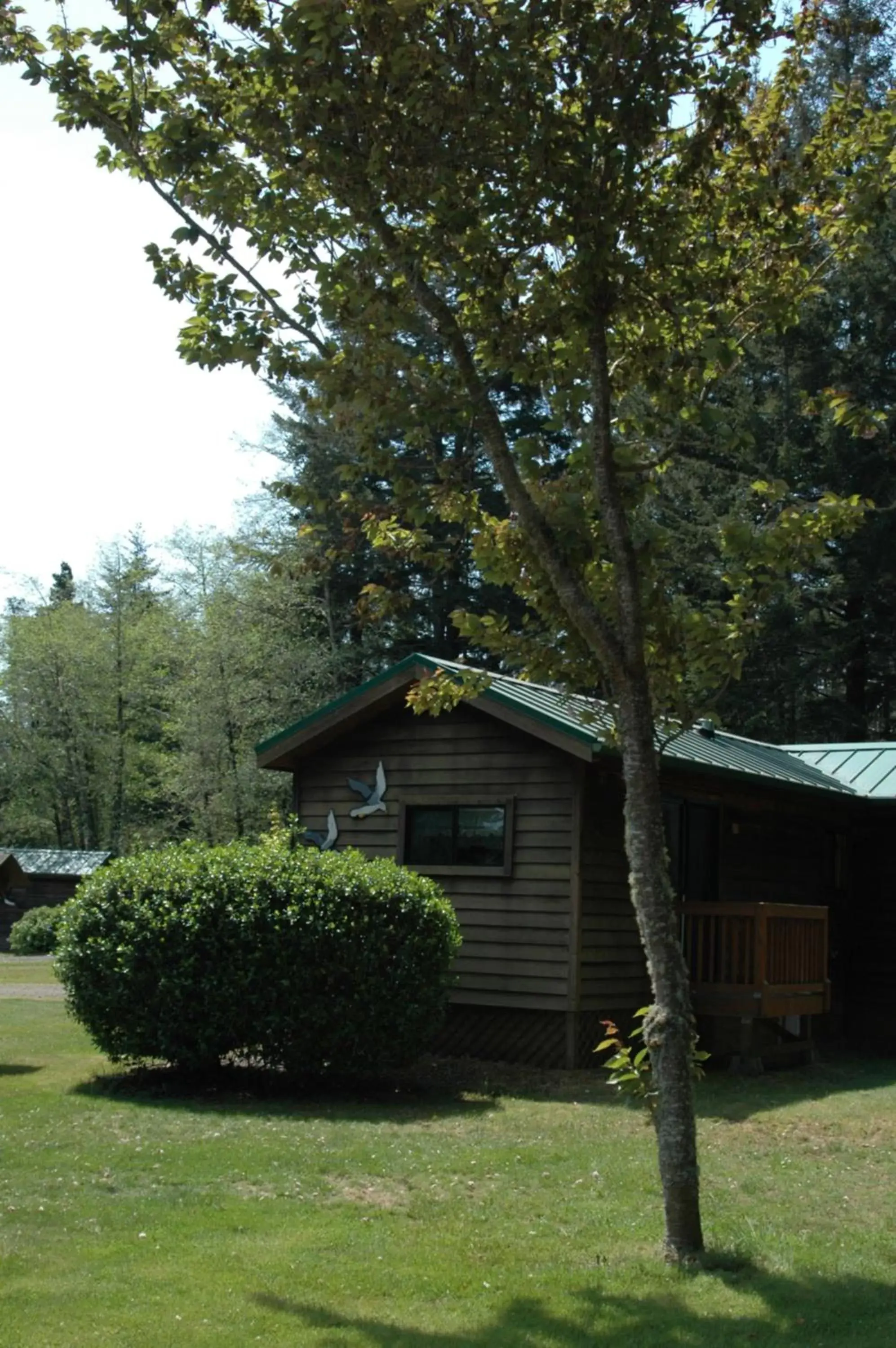 Property Building in Park Motel and Cabins