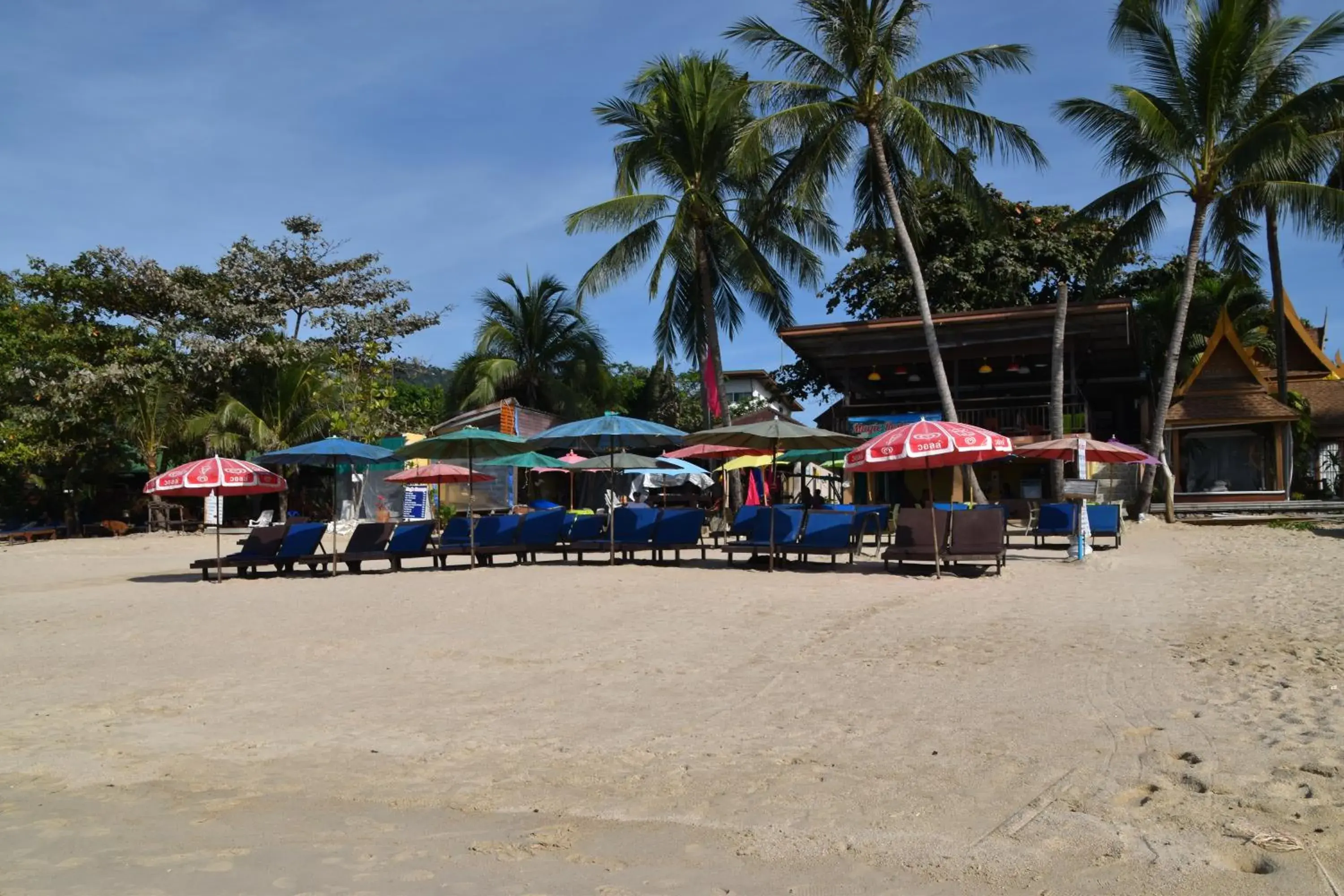 Restaurant/places to eat, Beach in Magic Resort
