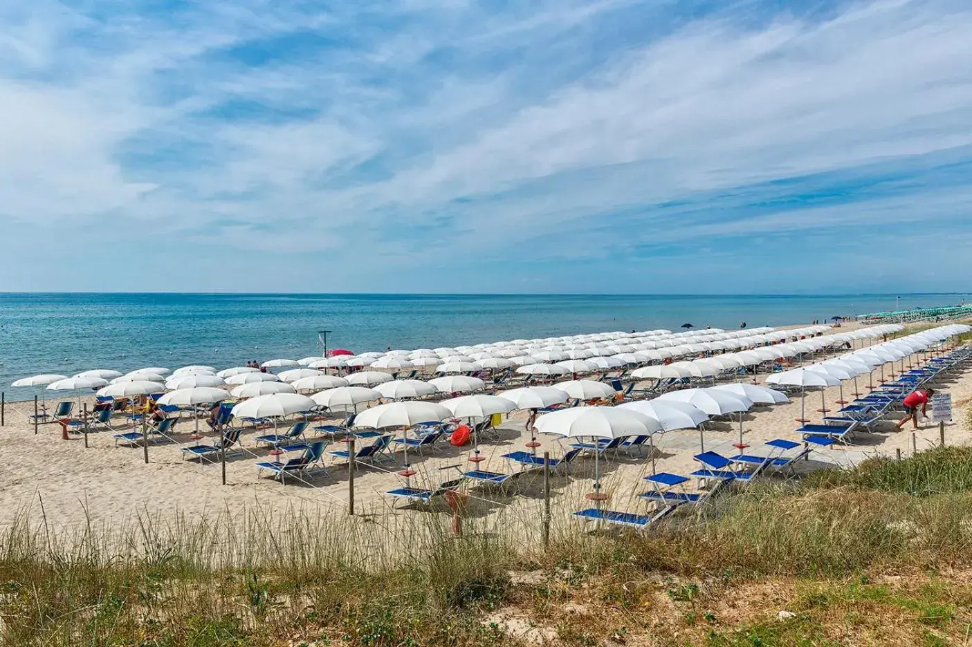 Beach in Ticho's