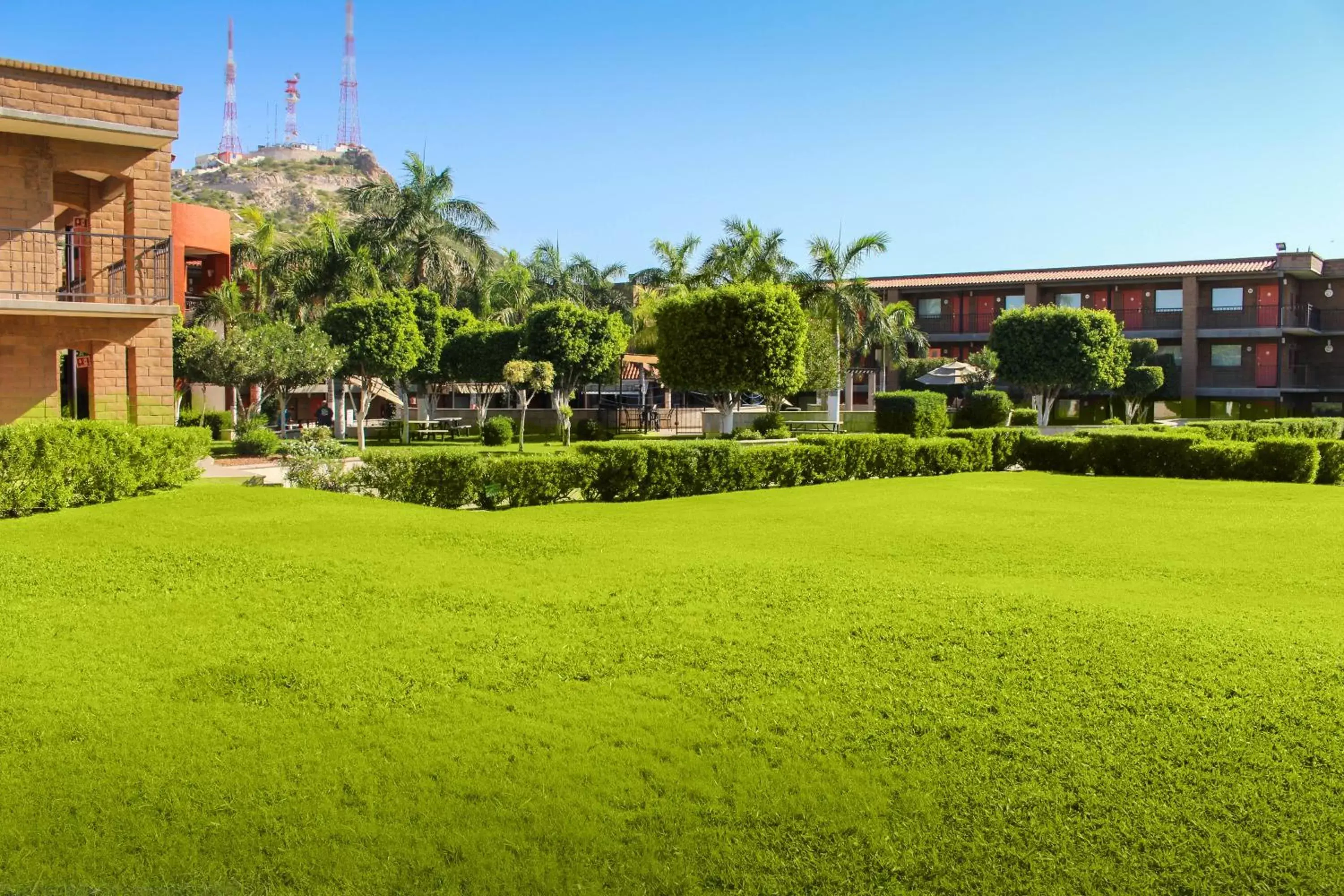 View (from property/room), Garden in Hotel Colonial Hermosillo