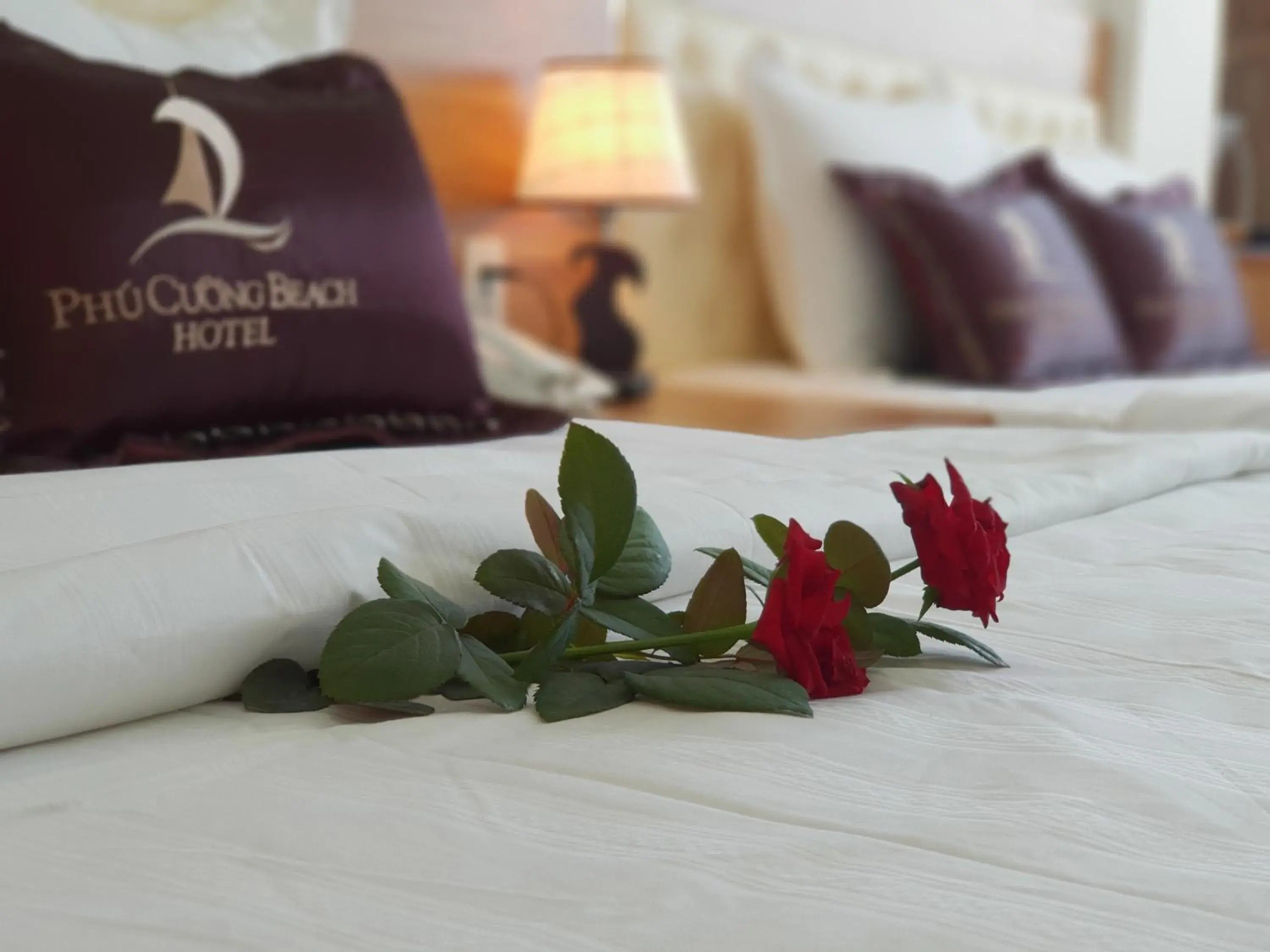 Bed in Phu Cuong Beach Hotel