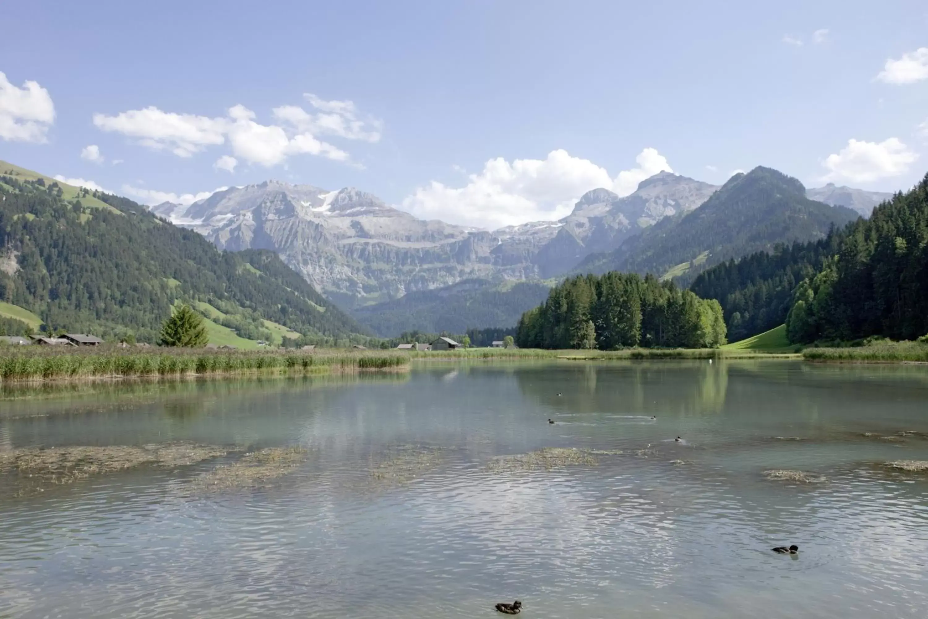 Natural landscape in Hotel Sternen