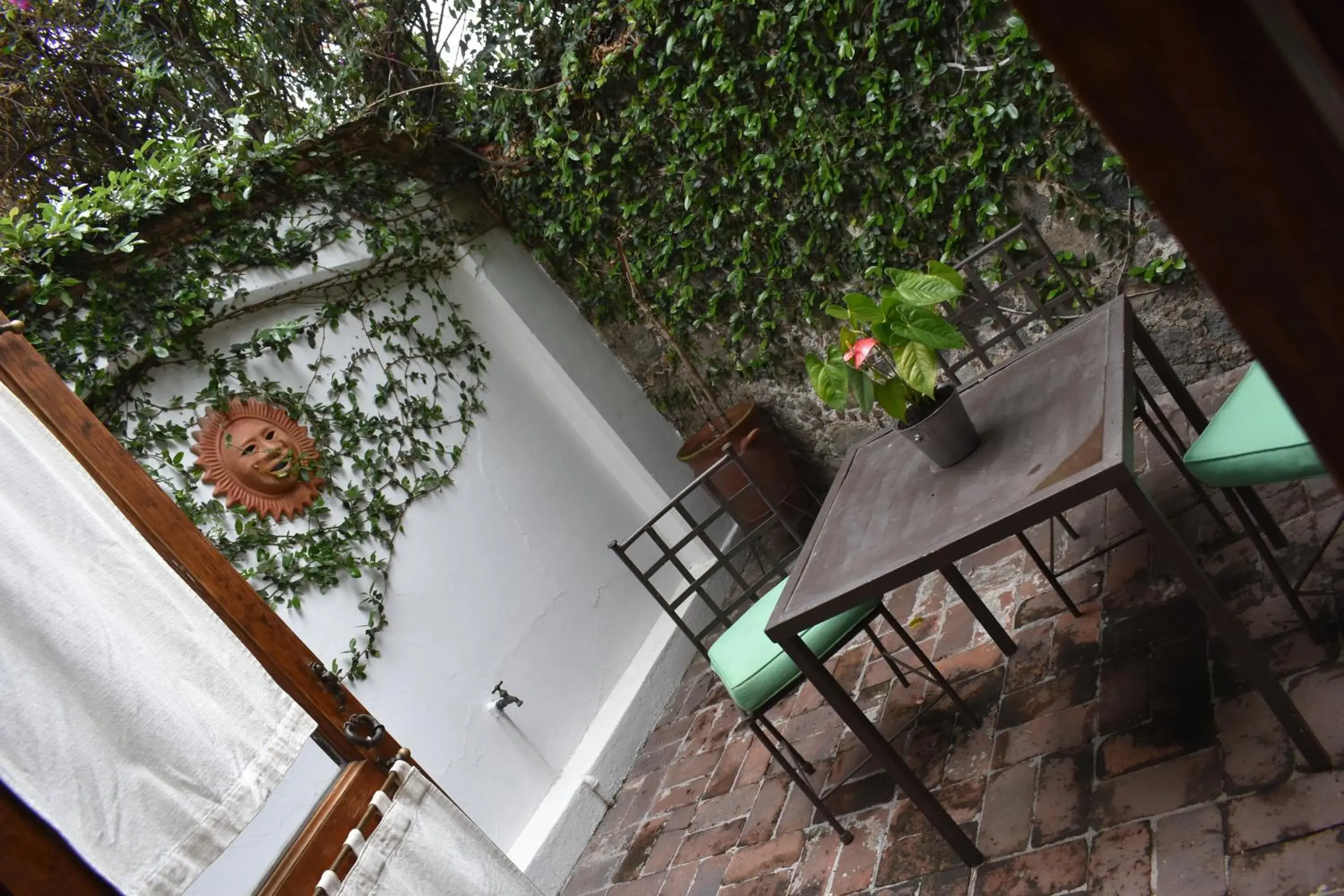 Patio in La Joyita