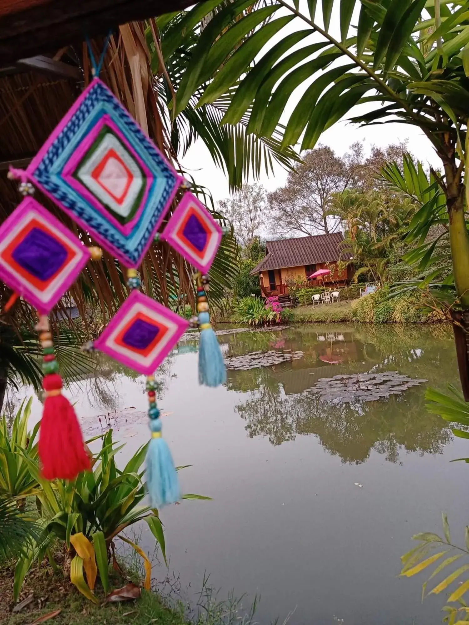 Natural landscape in Pura Vida Pai Resort