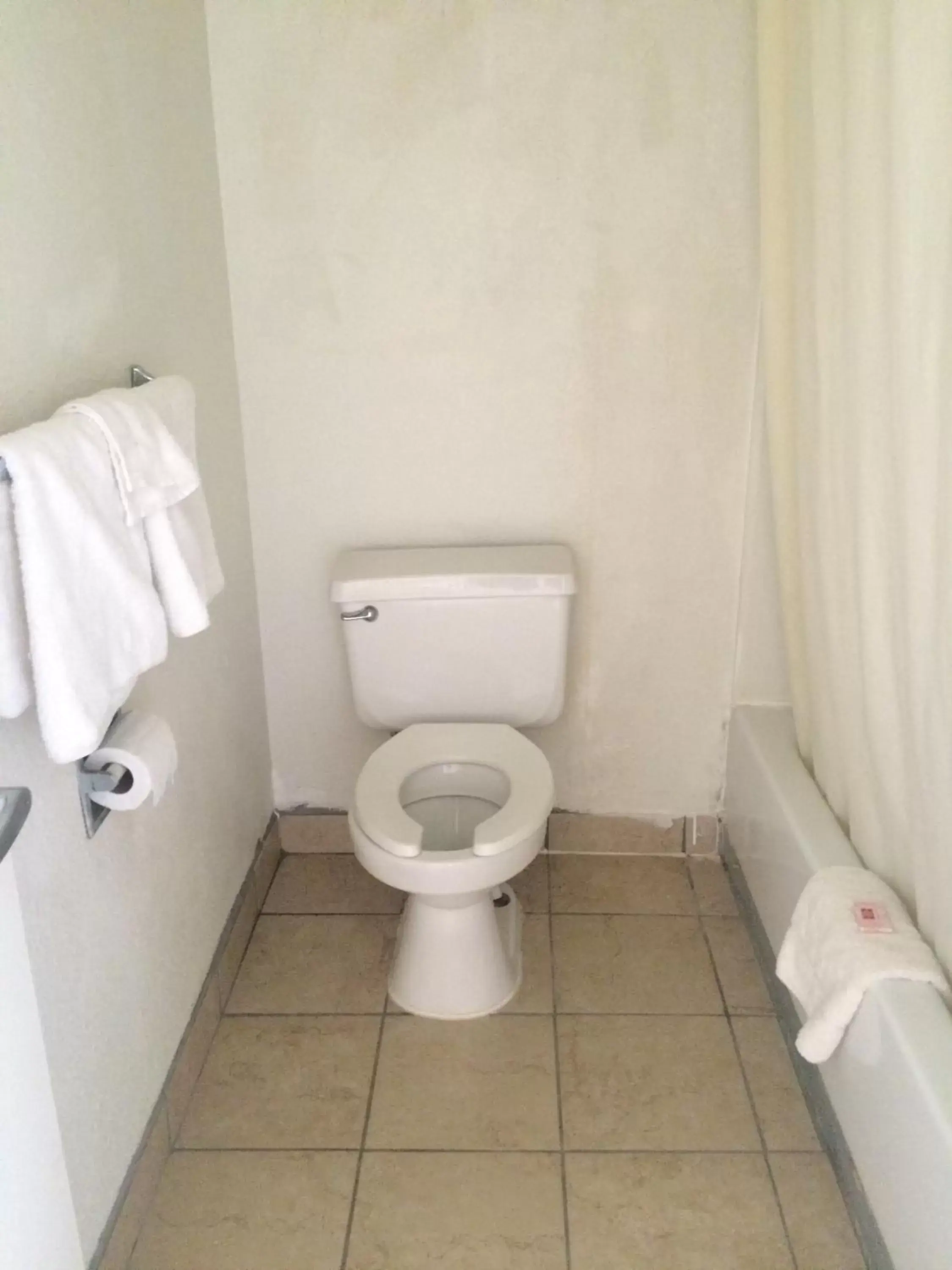Toilet, Bathroom in Carpet Inn