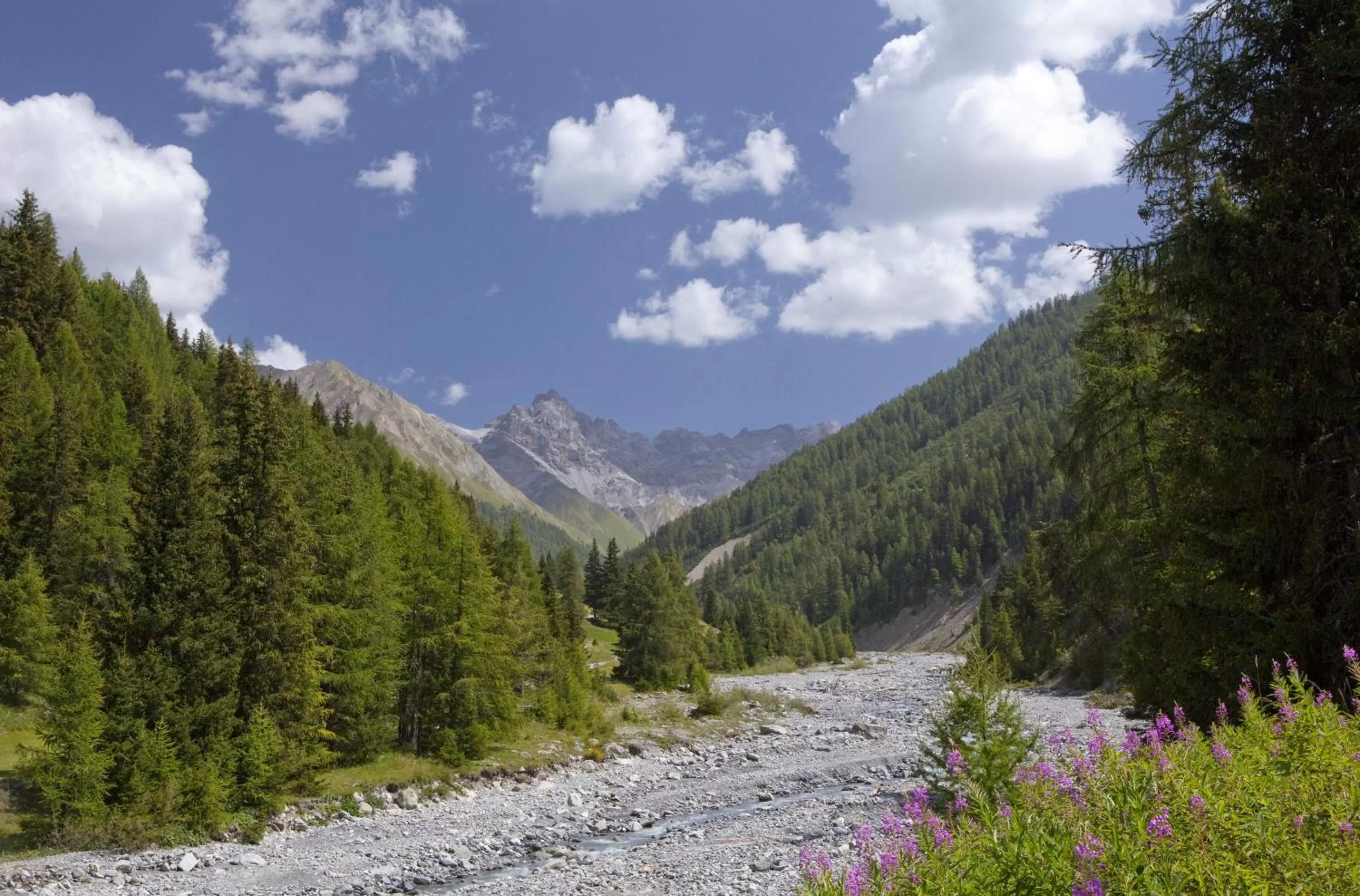 Day in Hotel Spöl Restaurant