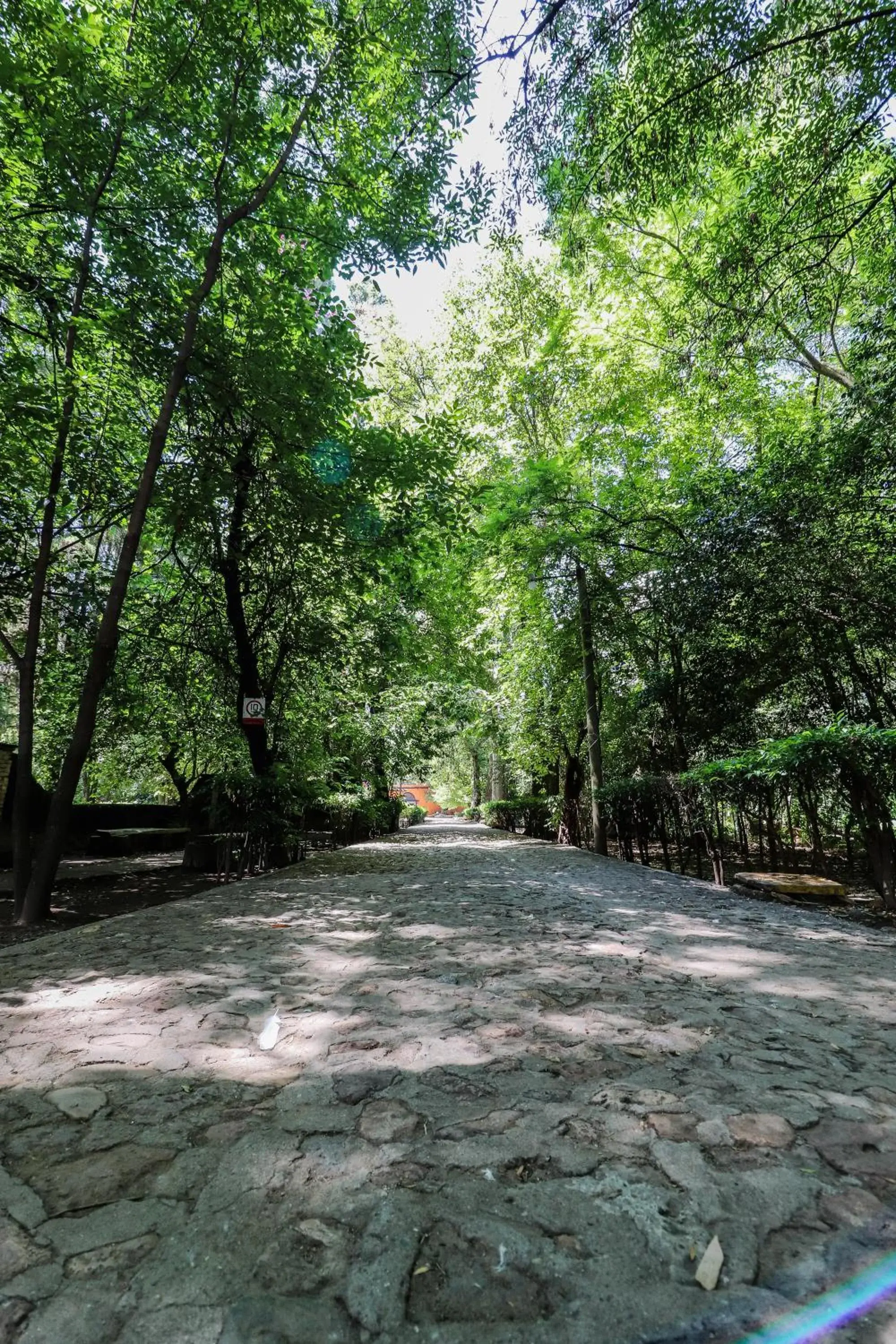 Garden in El Marques Hacienda