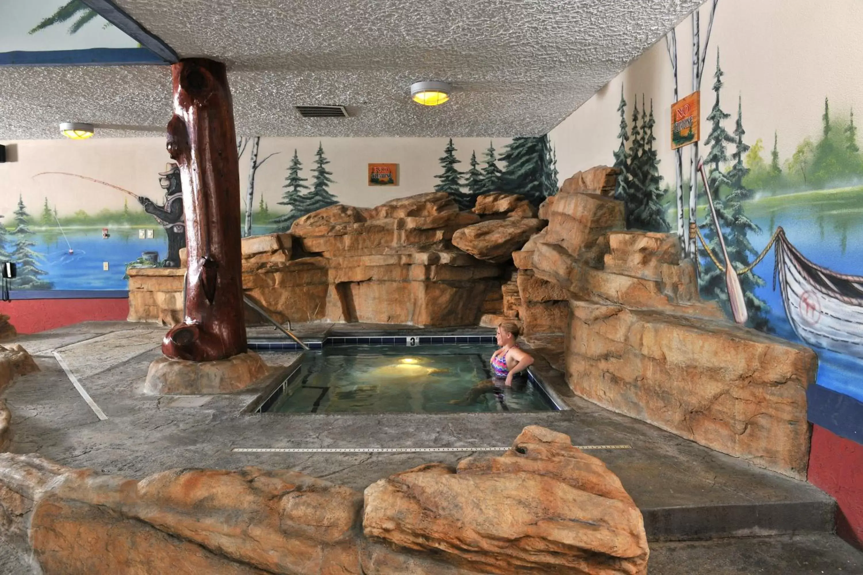 Spa and wellness centre/facilities, Swimming Pool in Stoney Creek Hotel Moline