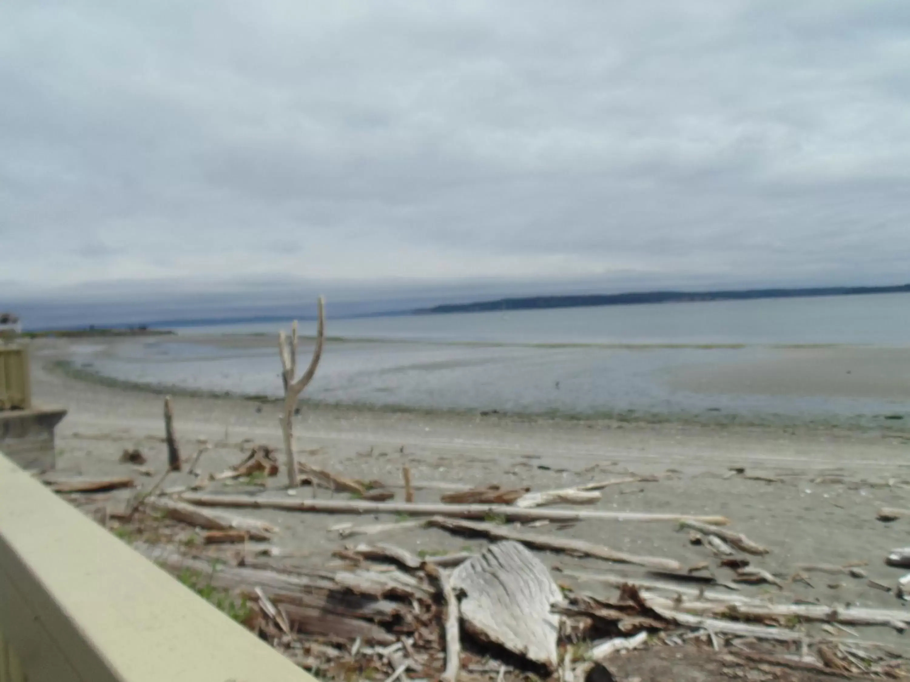 Beach in Aladdin Motor Inn