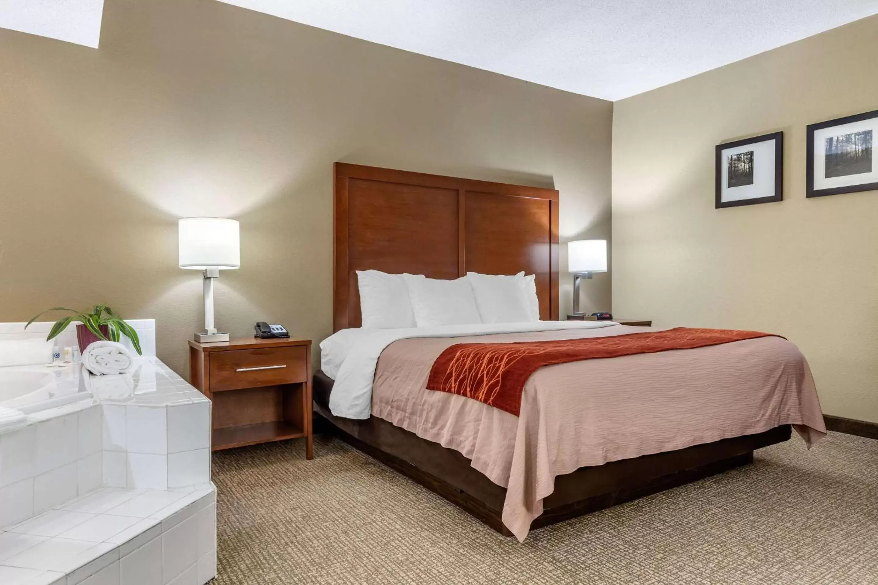 Photo of the whole room, Bed in Comfort Inn Blythewood - North Columbia