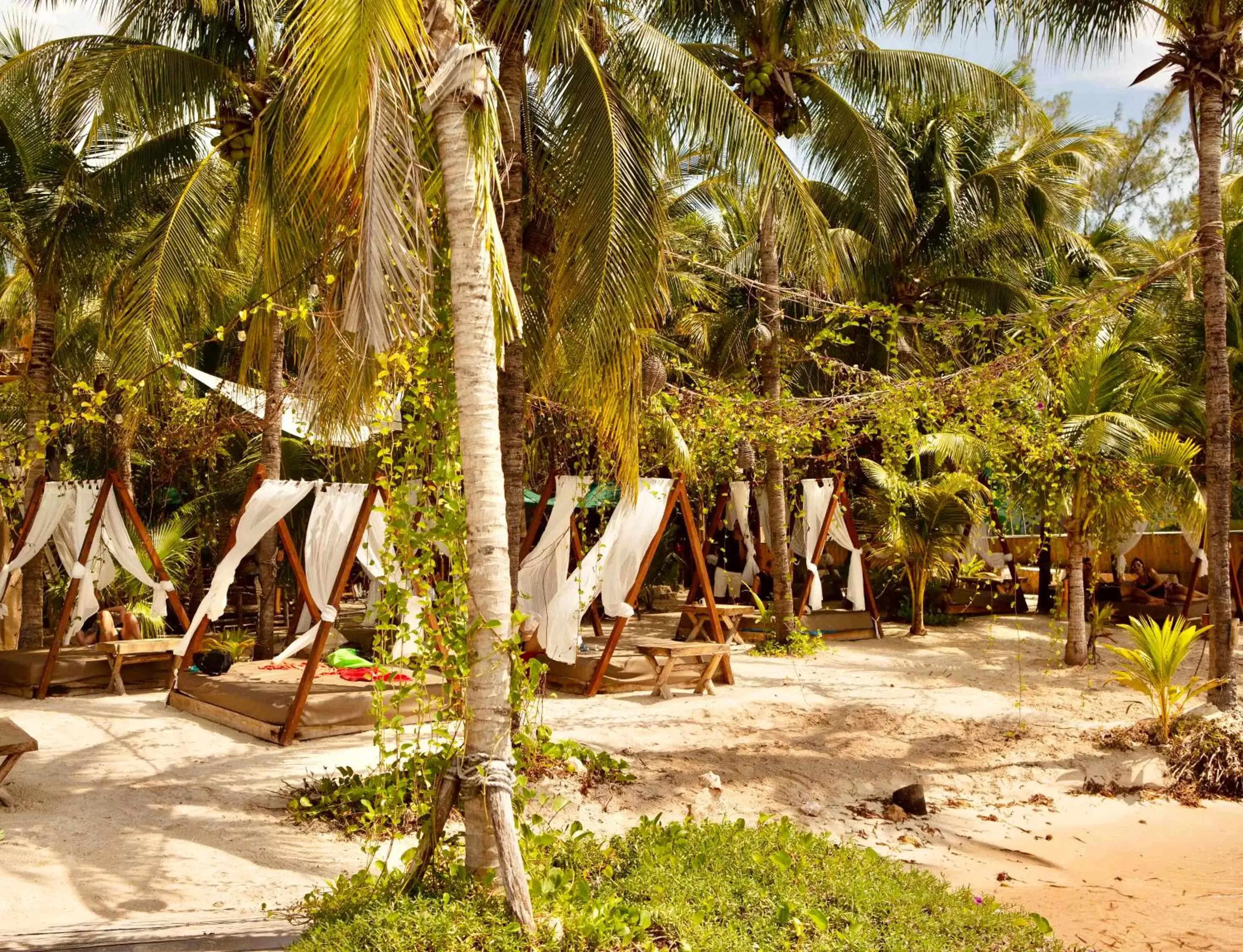 Beach in Nomads Hotel, Hostel & Beachclub