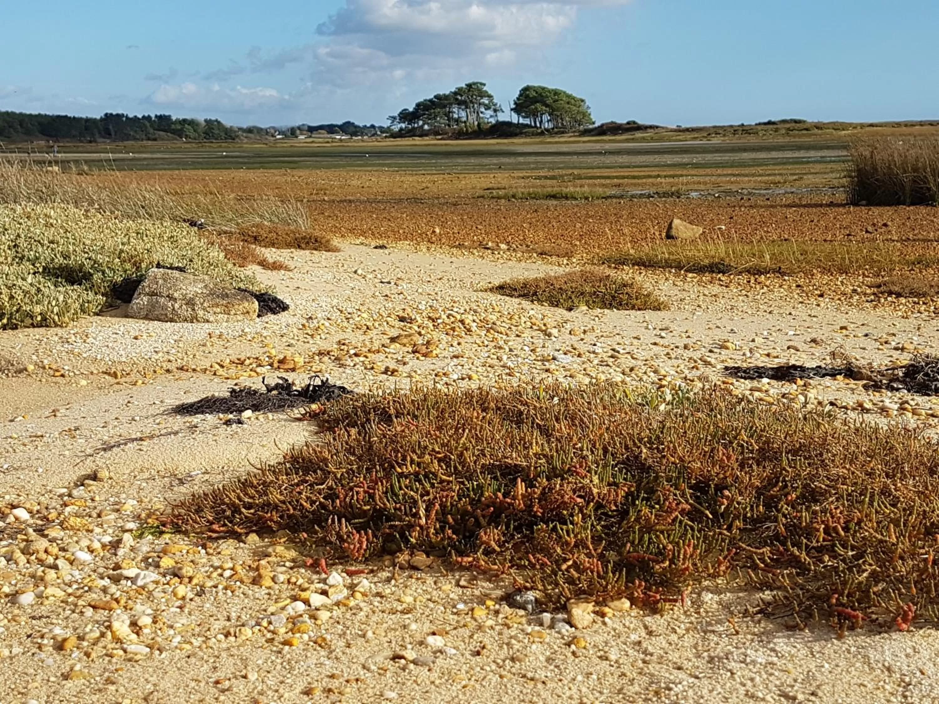 Sports in Hotel Restaurant Spa De La Citadelle Lorient