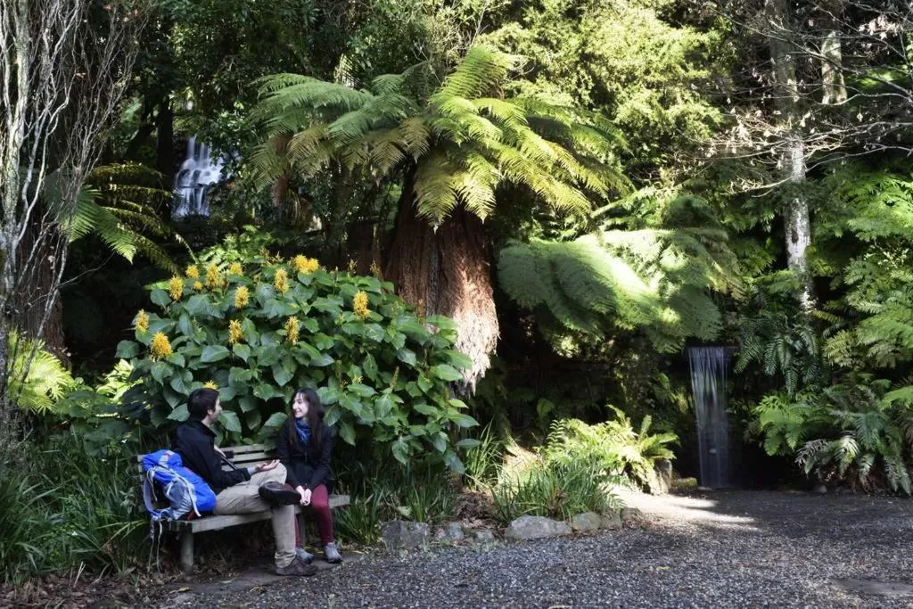 Natural landscape in Parkside Motel and Apartments