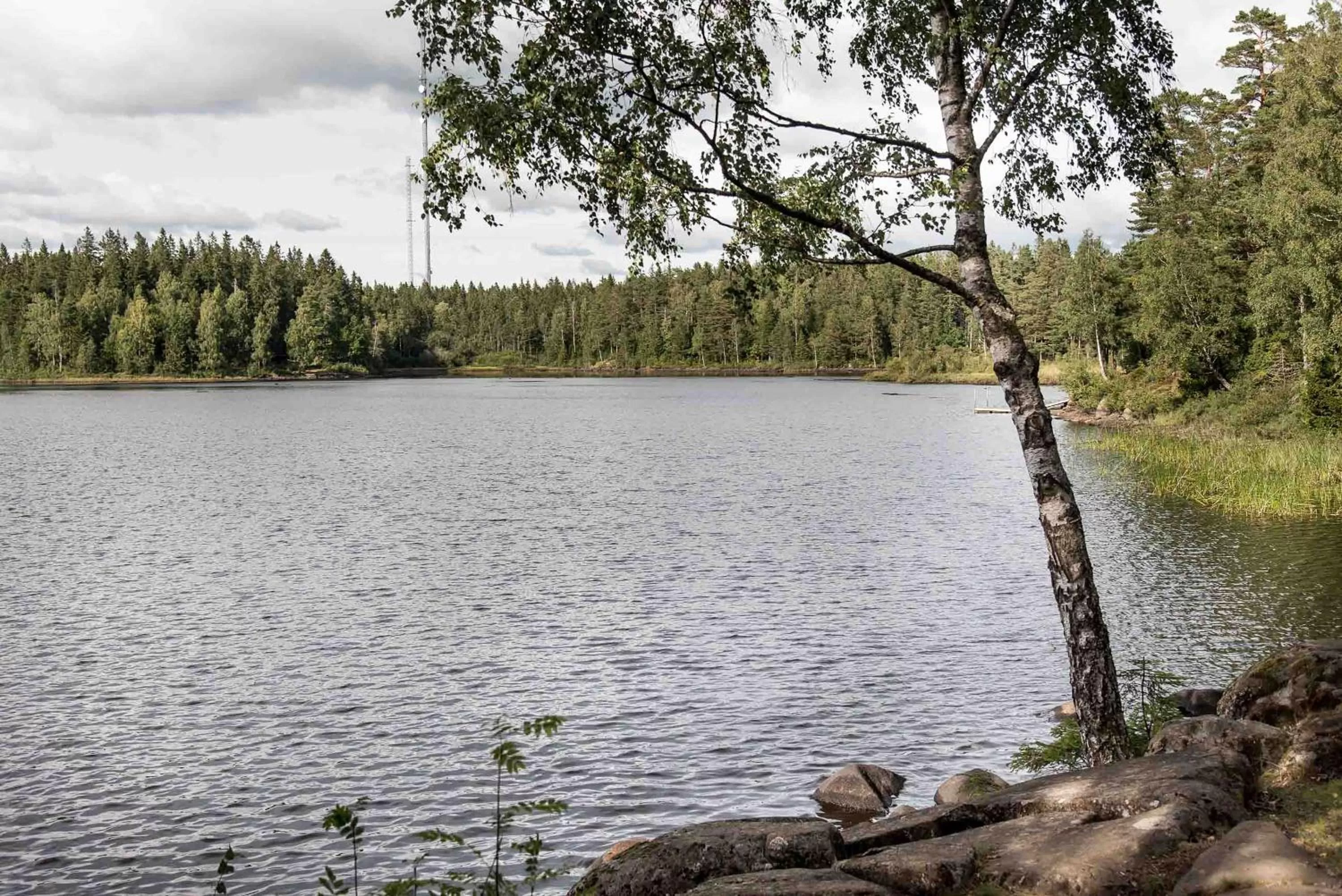 Natural landscape in Billingehus