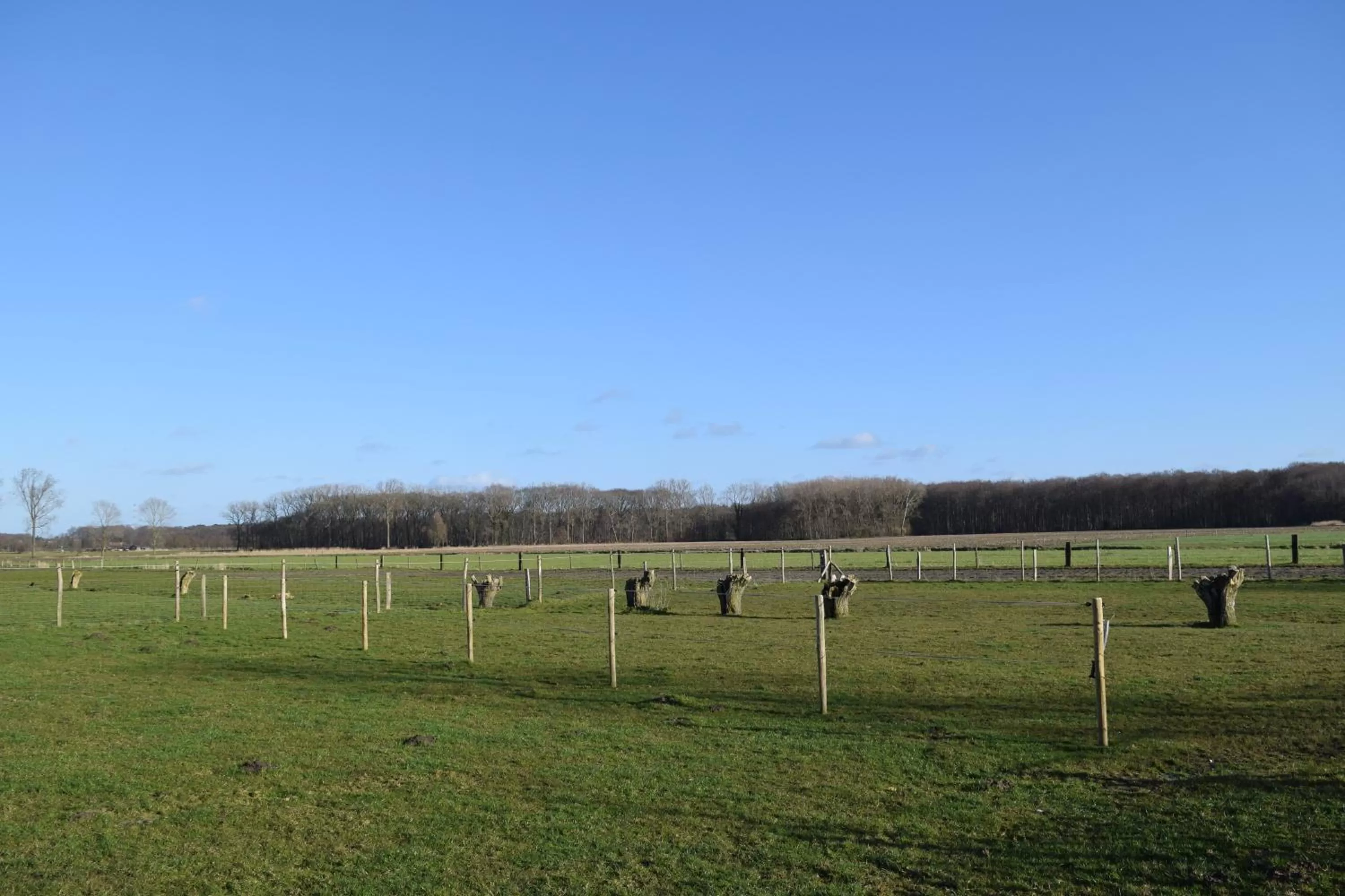 Garden view in B&B De Vossenbarm