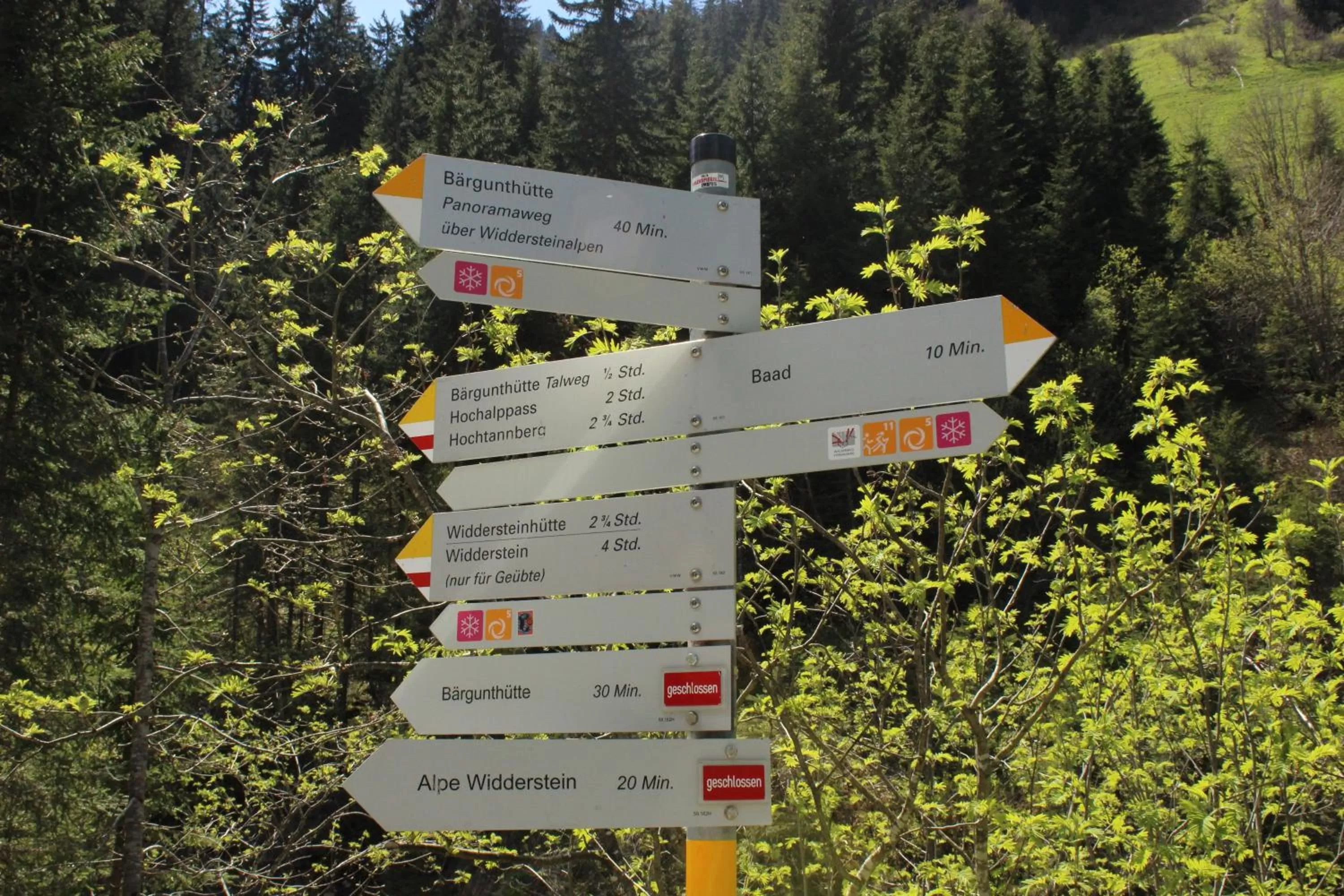 Area and facilities in Alpenhotel Widderstein