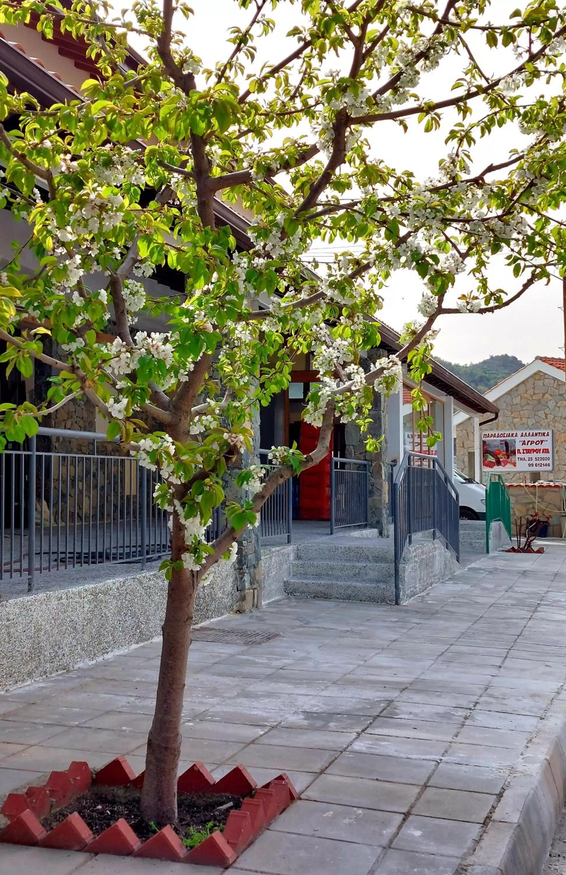 Agros Green Valley Suites