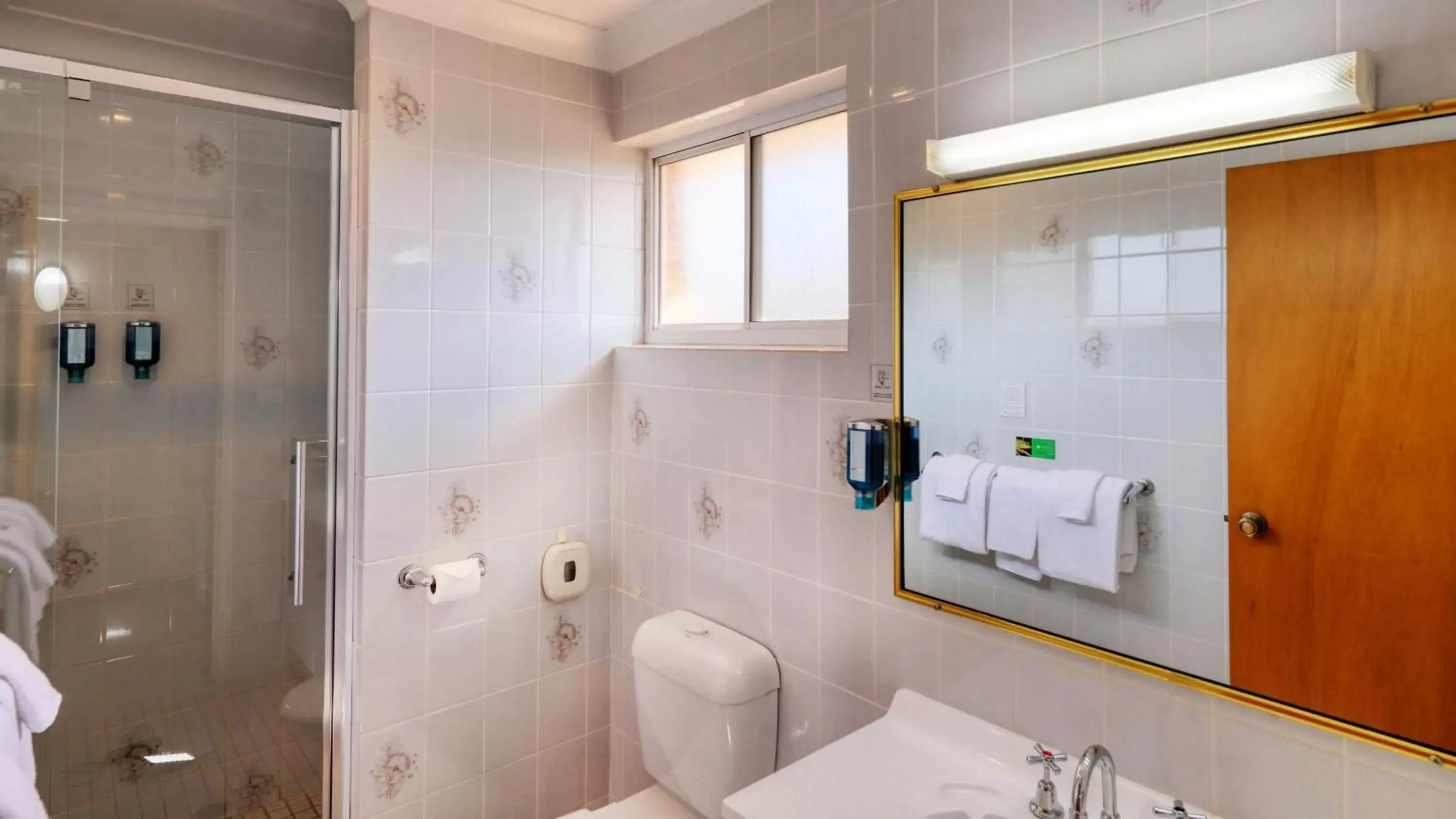 Shower, Bathroom in Blue Diamond Motor Inn