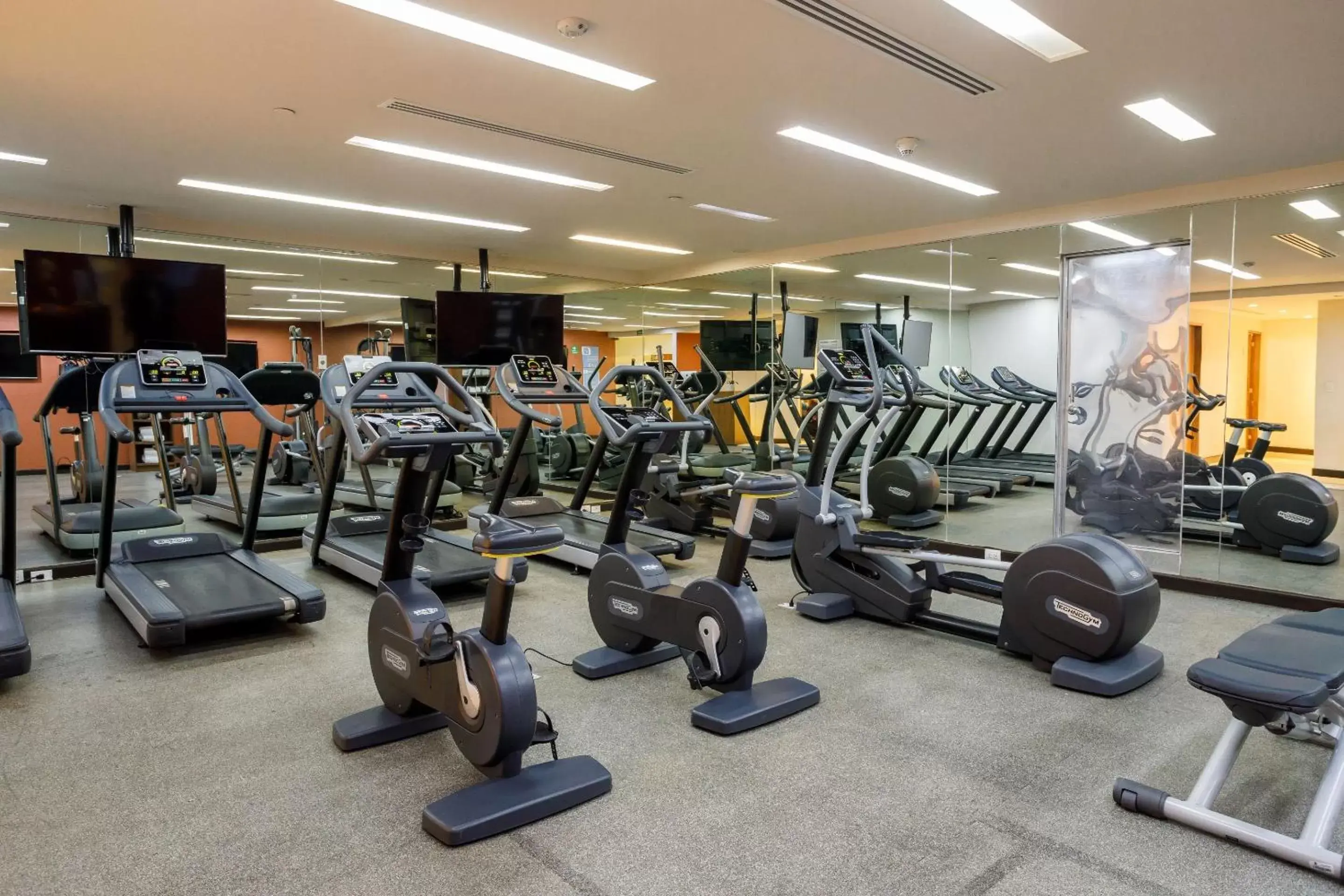 Fitness centre/facilities, Fitness Center/Facilities in Camino Real Pedregal Mexico